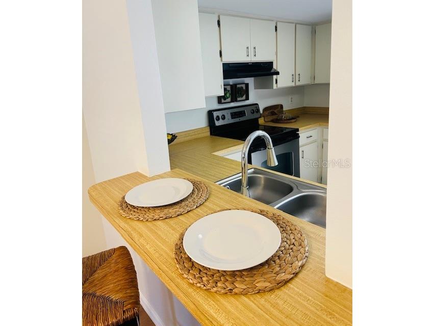 2033 Hawkhurst Circle #180 Sun City Center FL 33573 TB8473083 image6