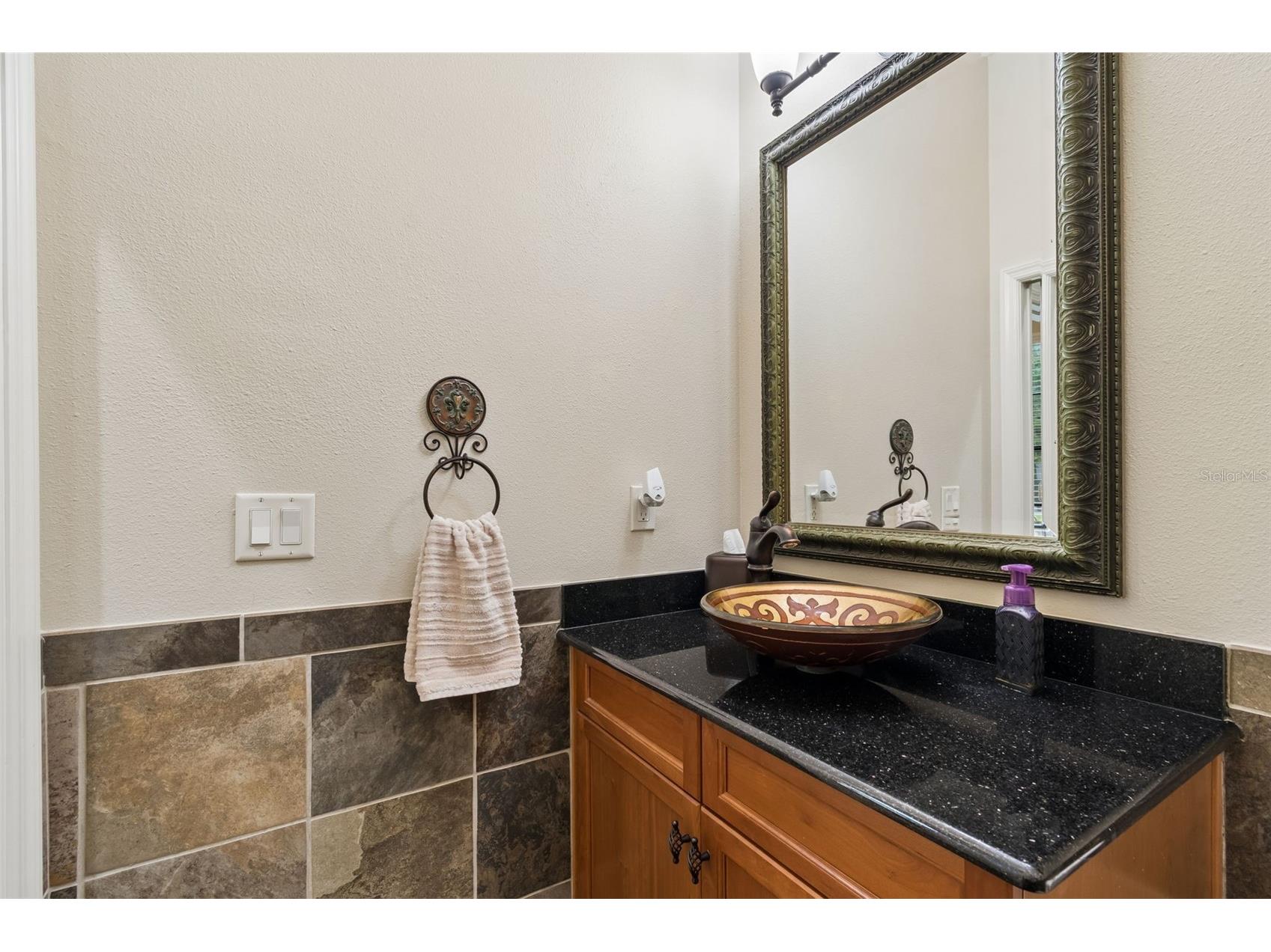 20330 Lace Cascade Road Land O Lakes FL 34637 TB8500395 image33