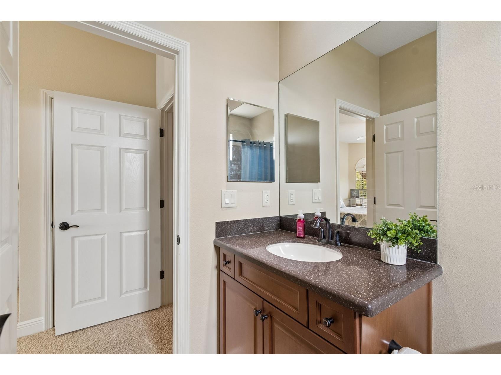 20330 Lace Cascade Road Land O Lakes FL 34637 TB8500395 image70