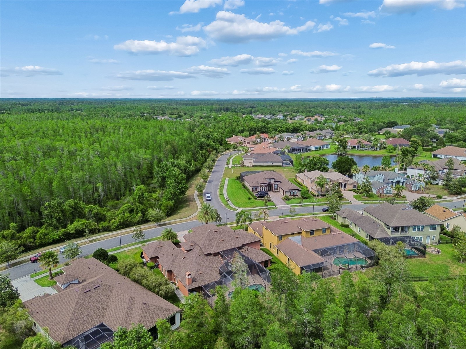 20330 Lace Cascade Road Land O Lakes FL 34637 TB8500395 image89