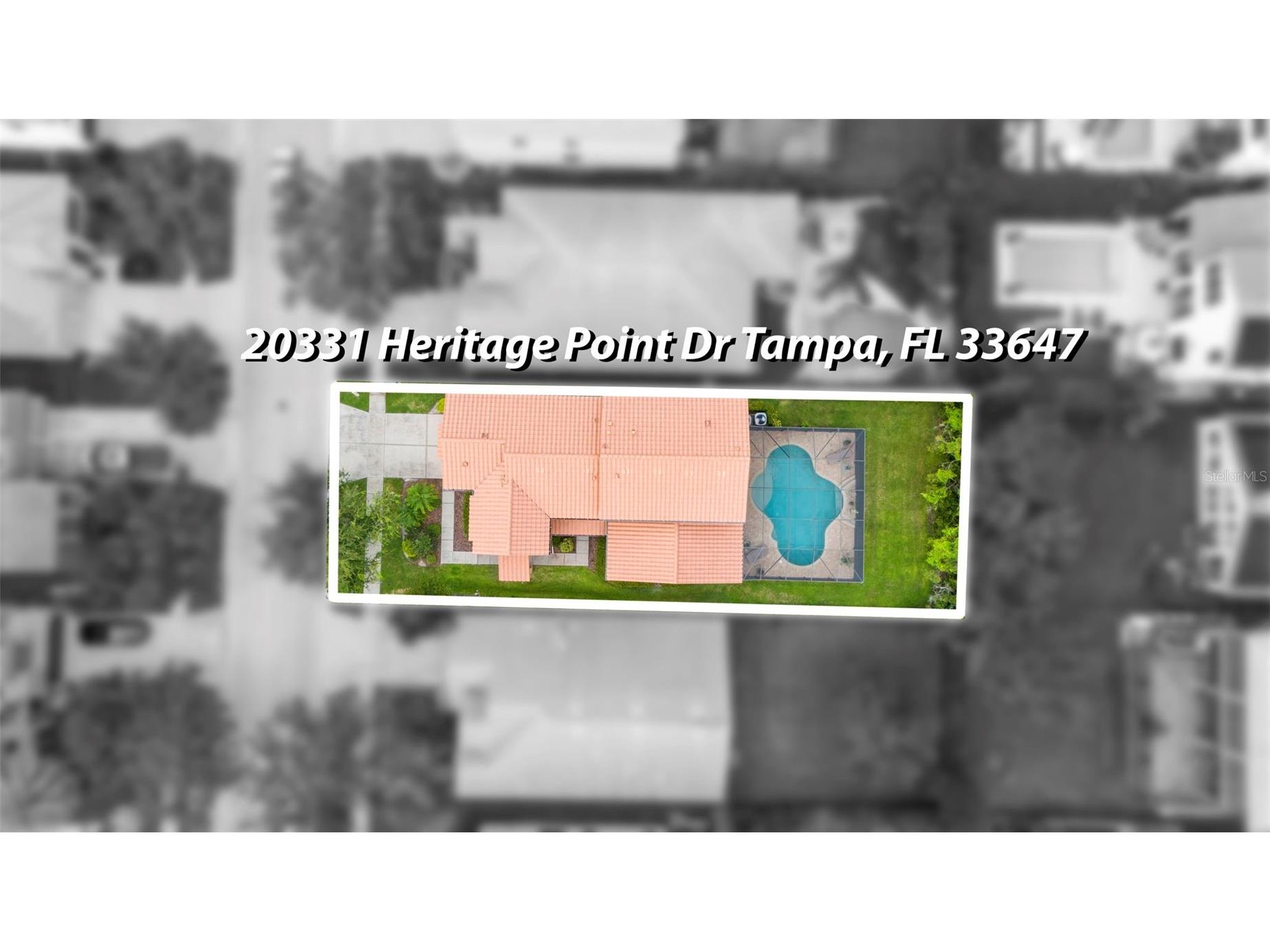 20331 Heritage Point Drive Tampa FL 33647 TB8425321 image79