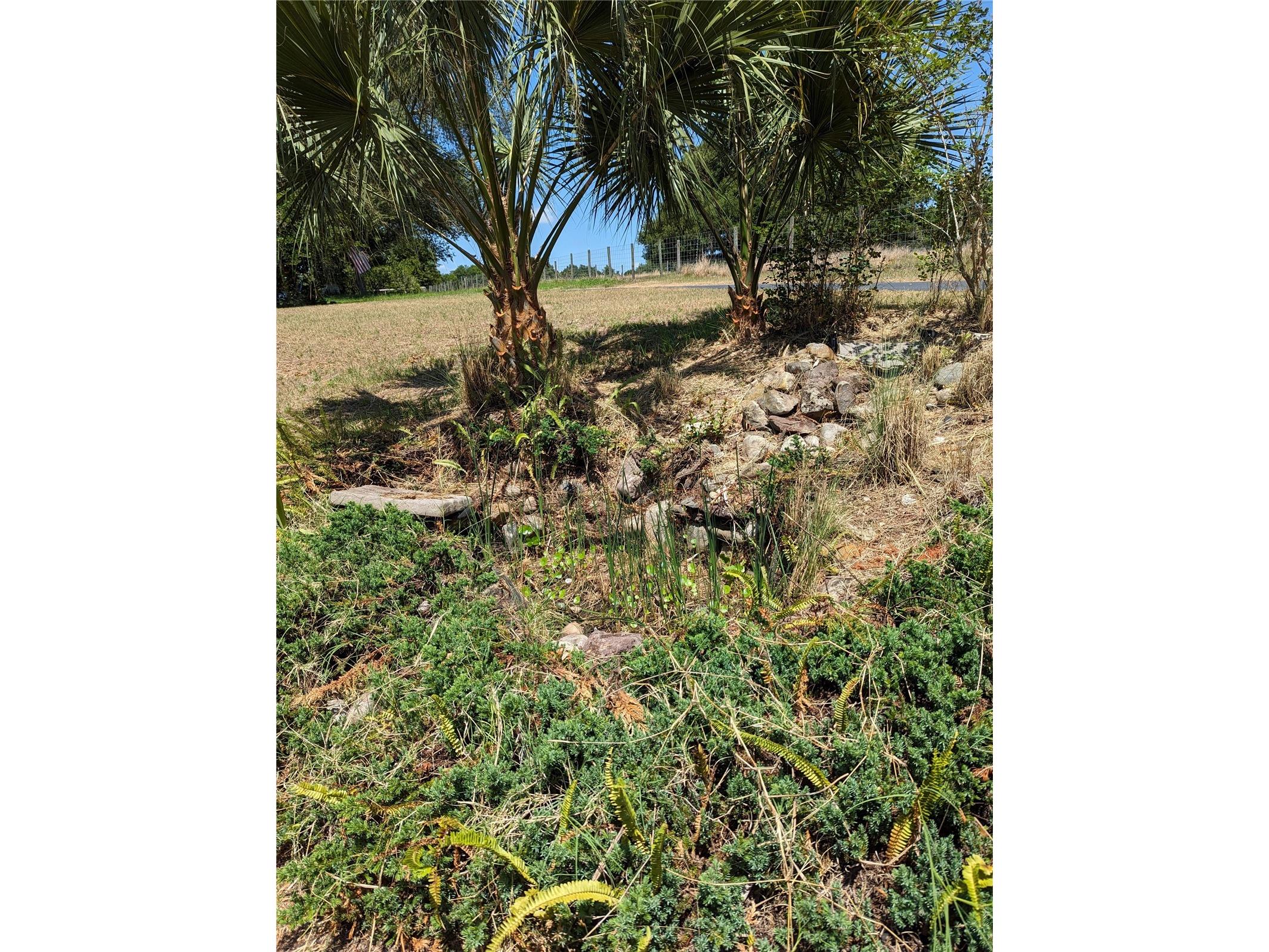 20333 Sugarloaf Mountain Road Clermont FL 34711 G5115412 image25
