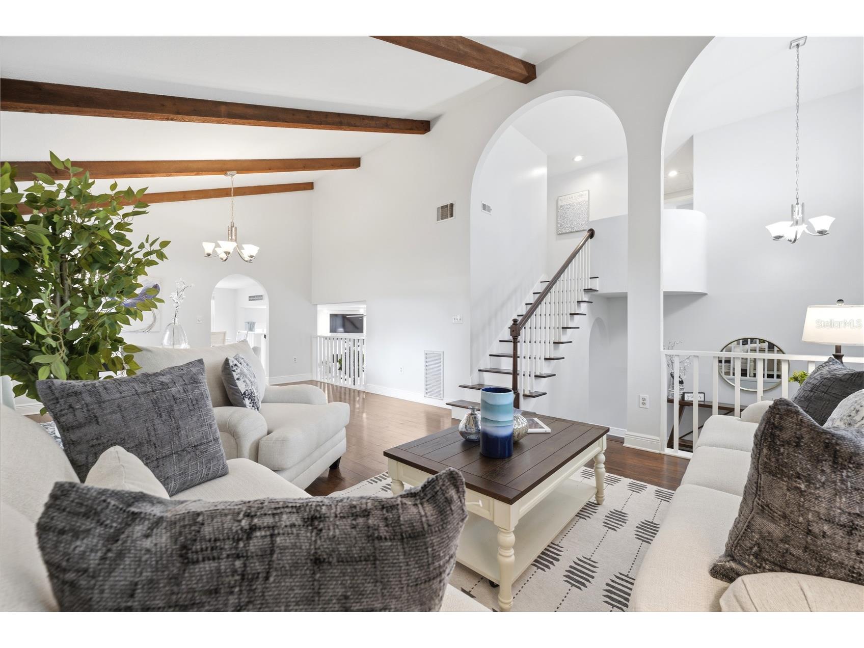 2034 Cindy Circle Palm Harbor FL 34683 TB8523546 image13