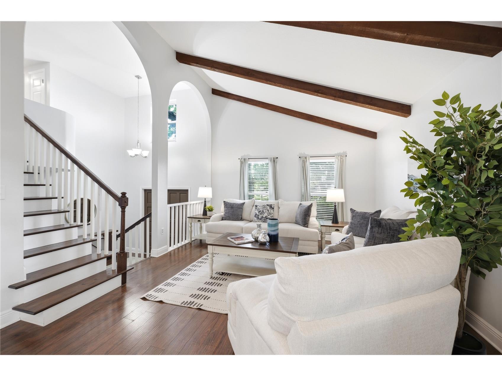 2034 Cindy Circle Palm Harbor FL 34683 TB8523546 image14