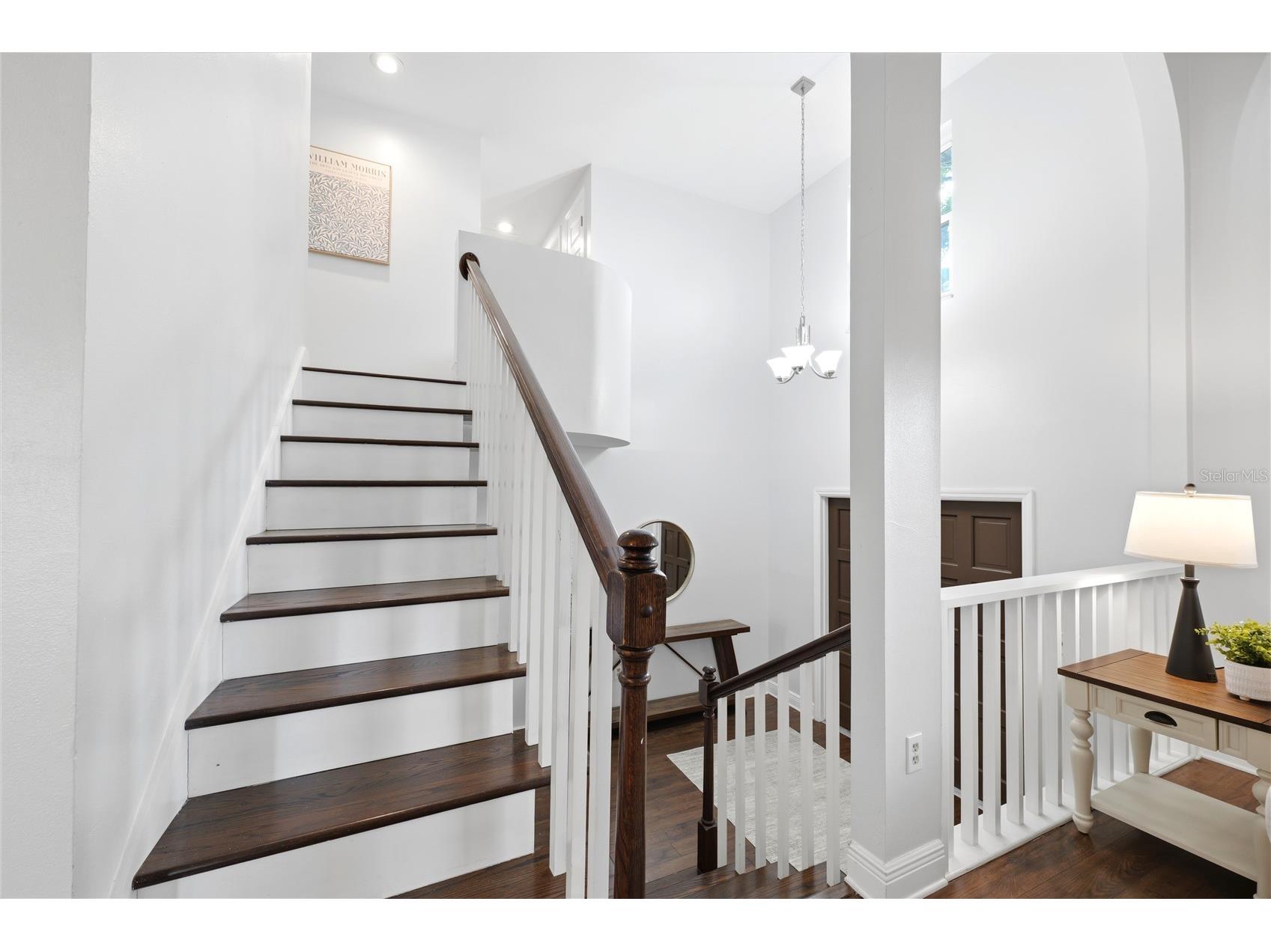 2034 Cindy Circle Palm Harbor FL 34683 TB8523546 image24