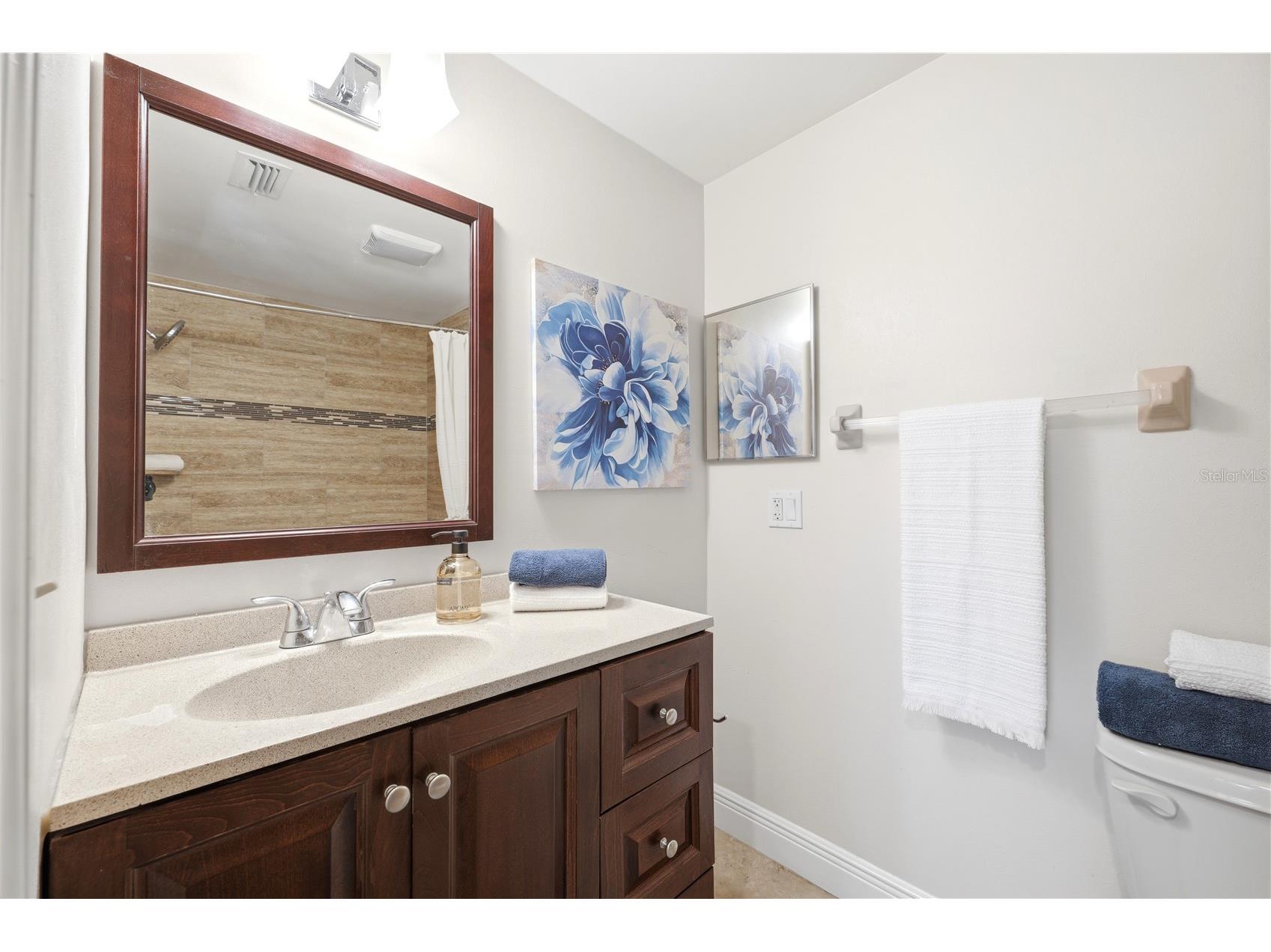 2034 Cindy Circle Palm Harbor FL 34683 TB8523546 image36