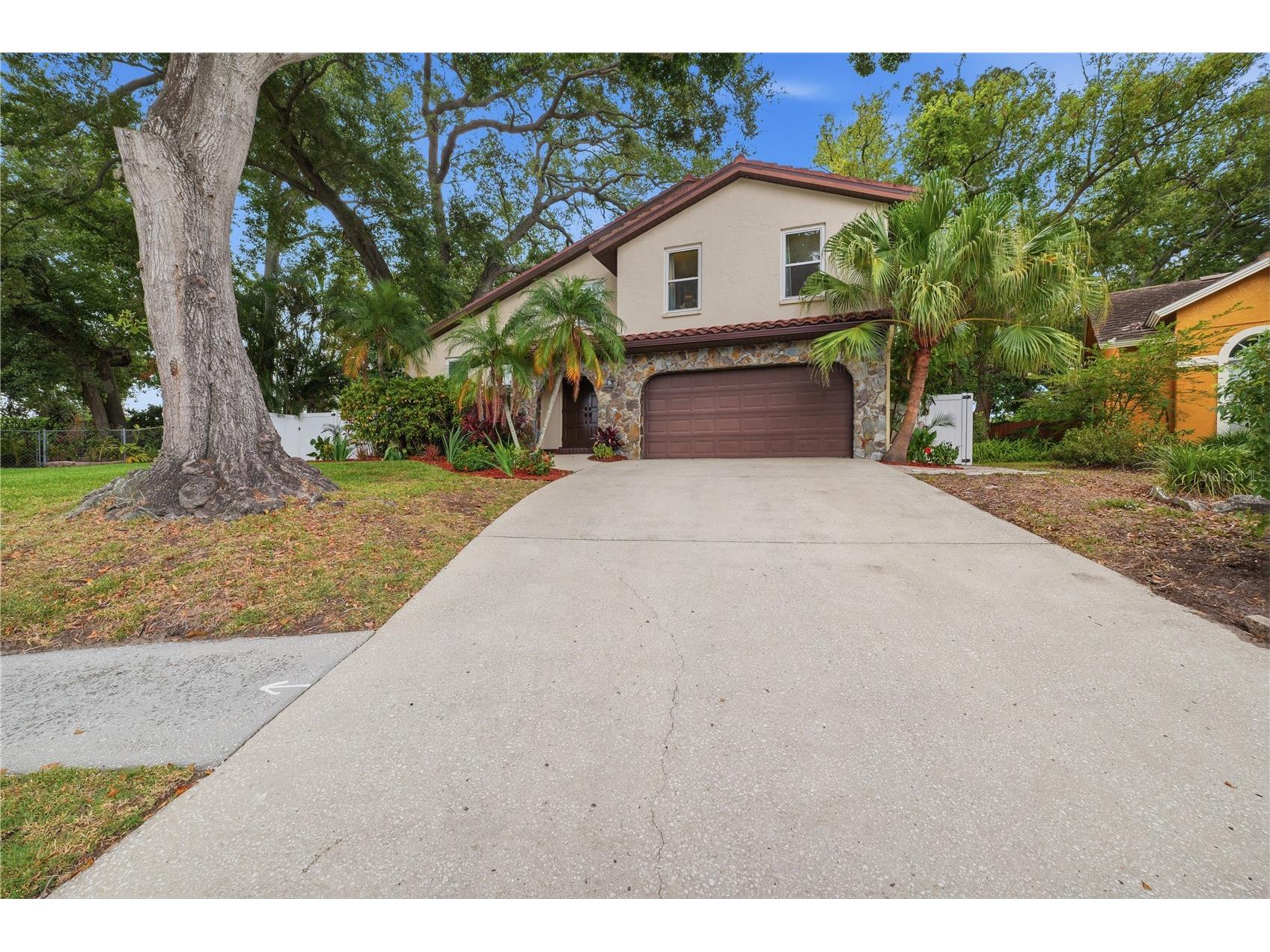 2034 Cindy Circle Palm Harbor FL 34683 TB8523546 image4