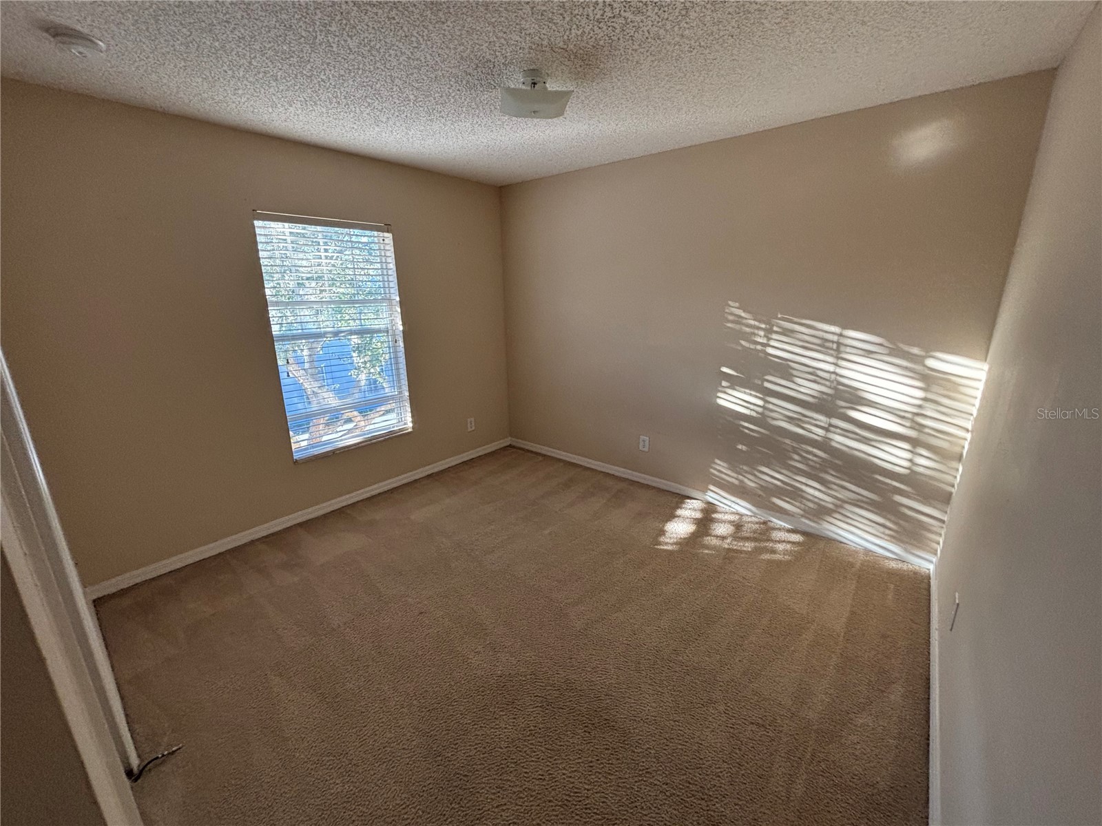 2034 Cypress Bay Boulevard Kissimmee FL 34743 O6367376 image24