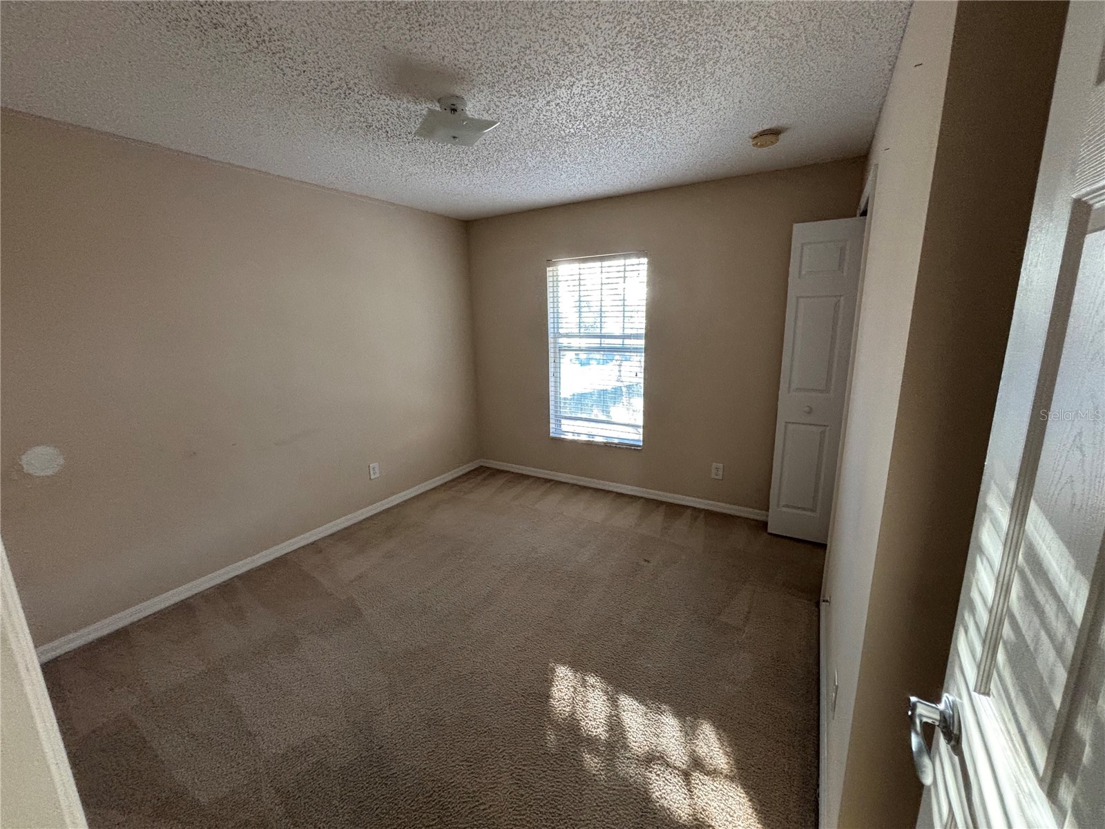 2034 Cypress Bay Boulevard Kissimmee FL 34743 O6367376 image26