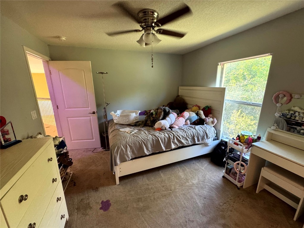 20342 Peabody Street Orlando FL 32833 O6365034 image40