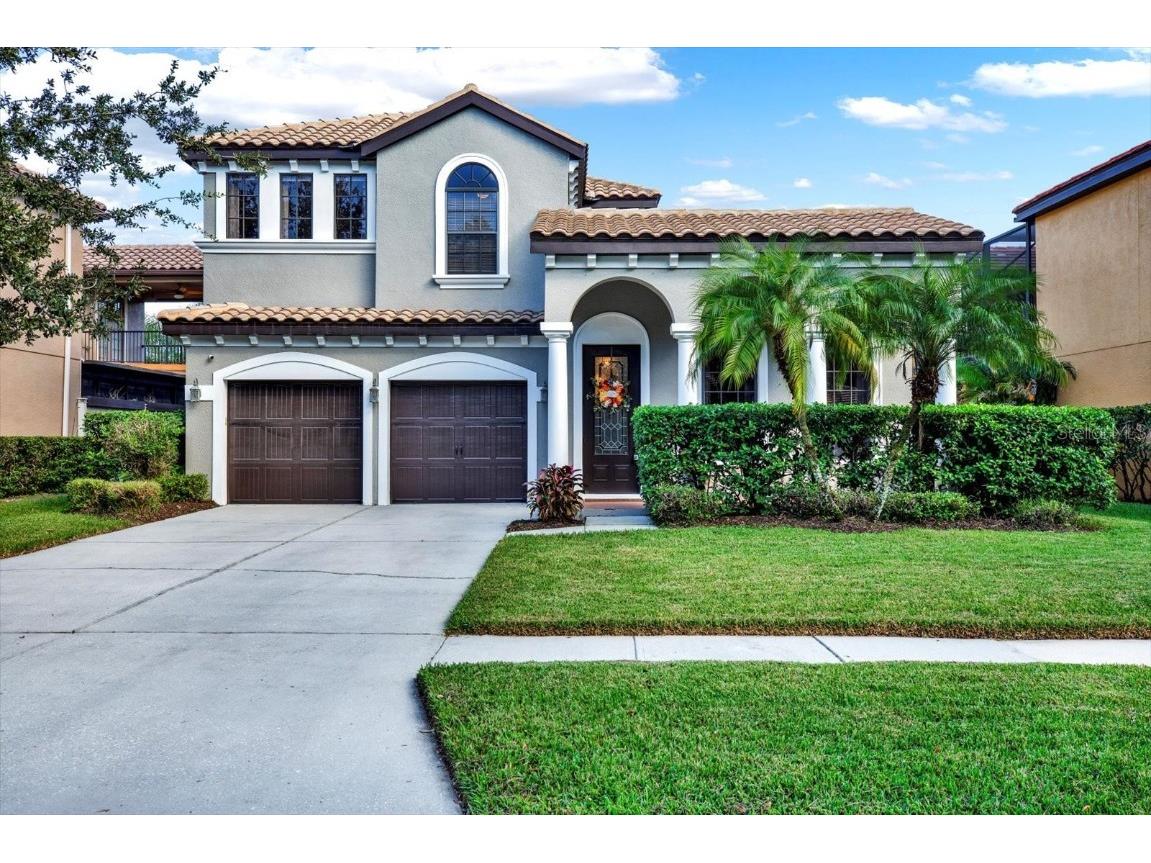 20345 Chestnut Grove Drive Tampa FL 33647 T3477915 image1