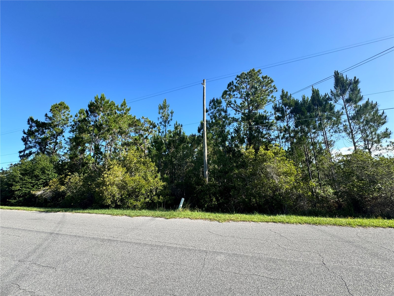20345 Quinn Street Orlando FL 32833 O6416037 image1