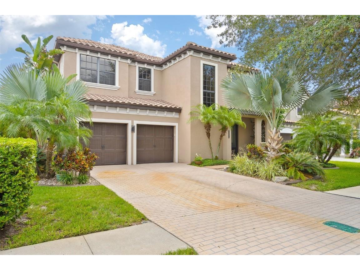 20347 Chestnut Grove Drive Tampa FL 33647 T3452509 image1