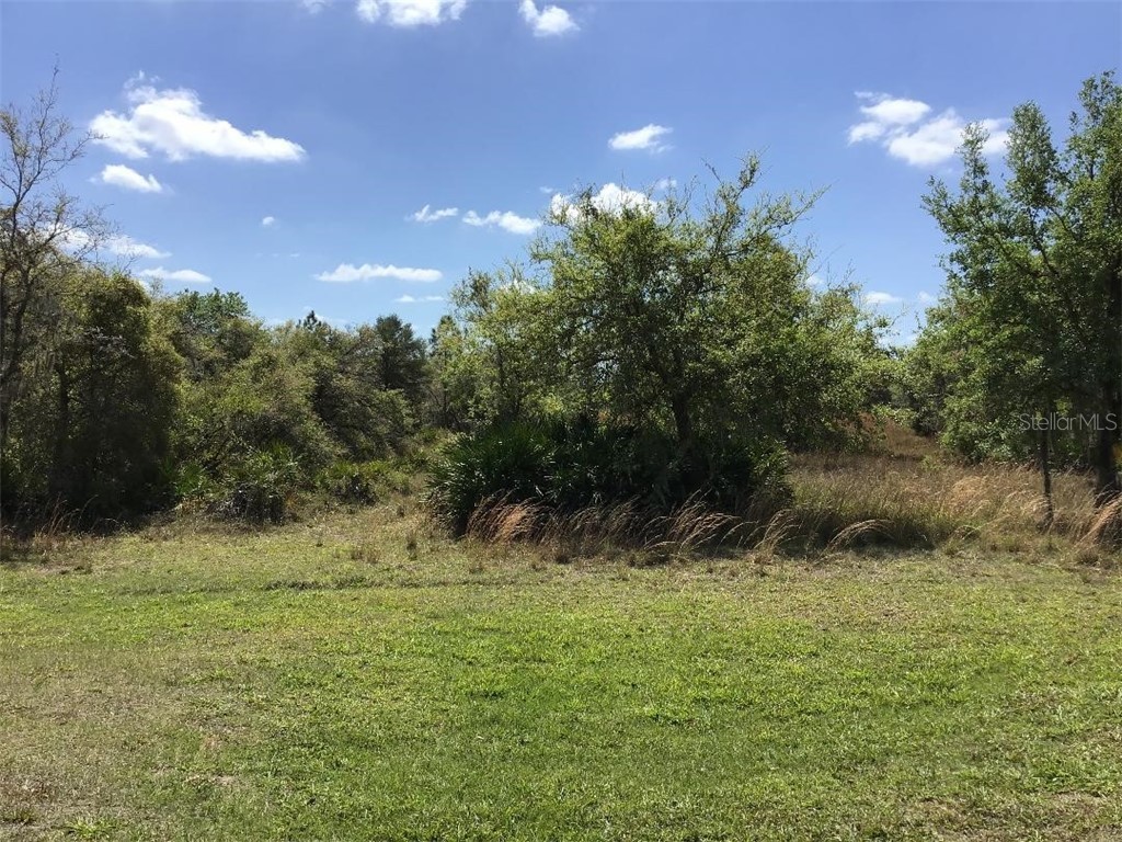 2035 405th Court E Myakka City FL 34251 A4496771 image1