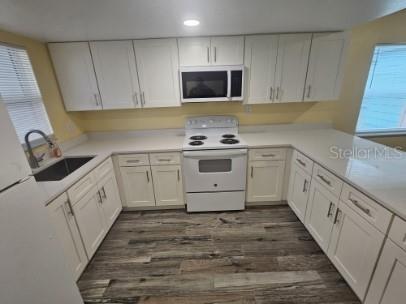 2035 Alpine Road #3 Clearwater FL 33755 TB8493233 image8