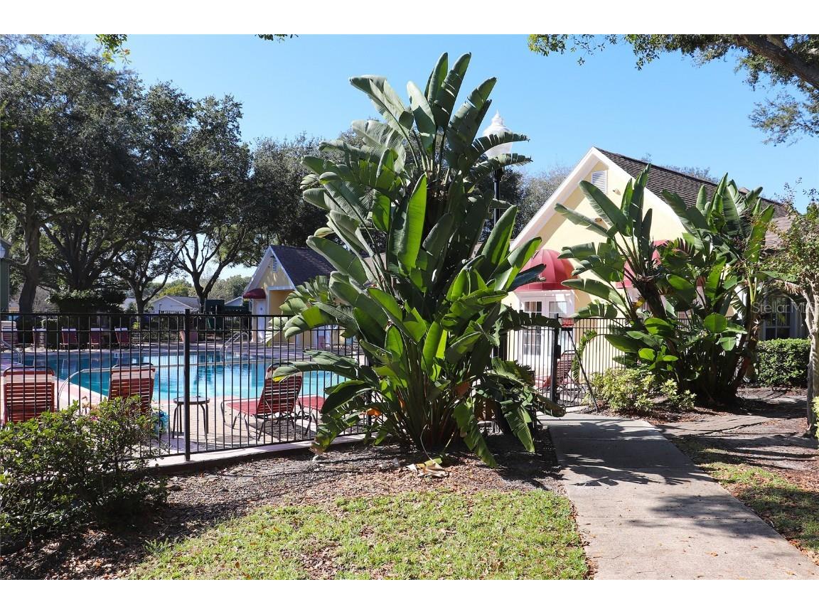 2035 Dixie Belle Drive #2035C Orlando FL 32812 O6367691 image47