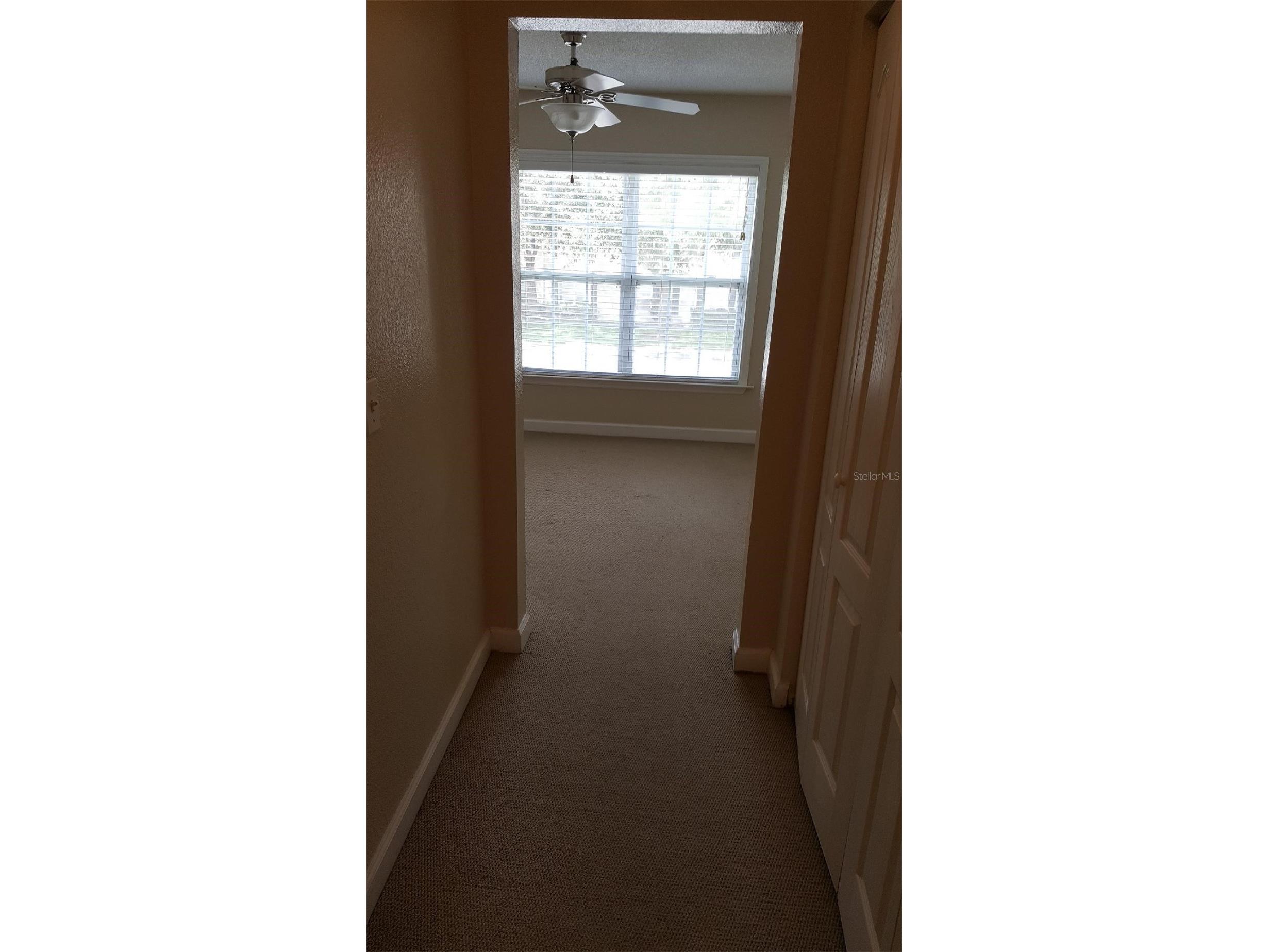 2035 Dixie Belle Drive #2035O Orlando FL 32812 S5153050 image8