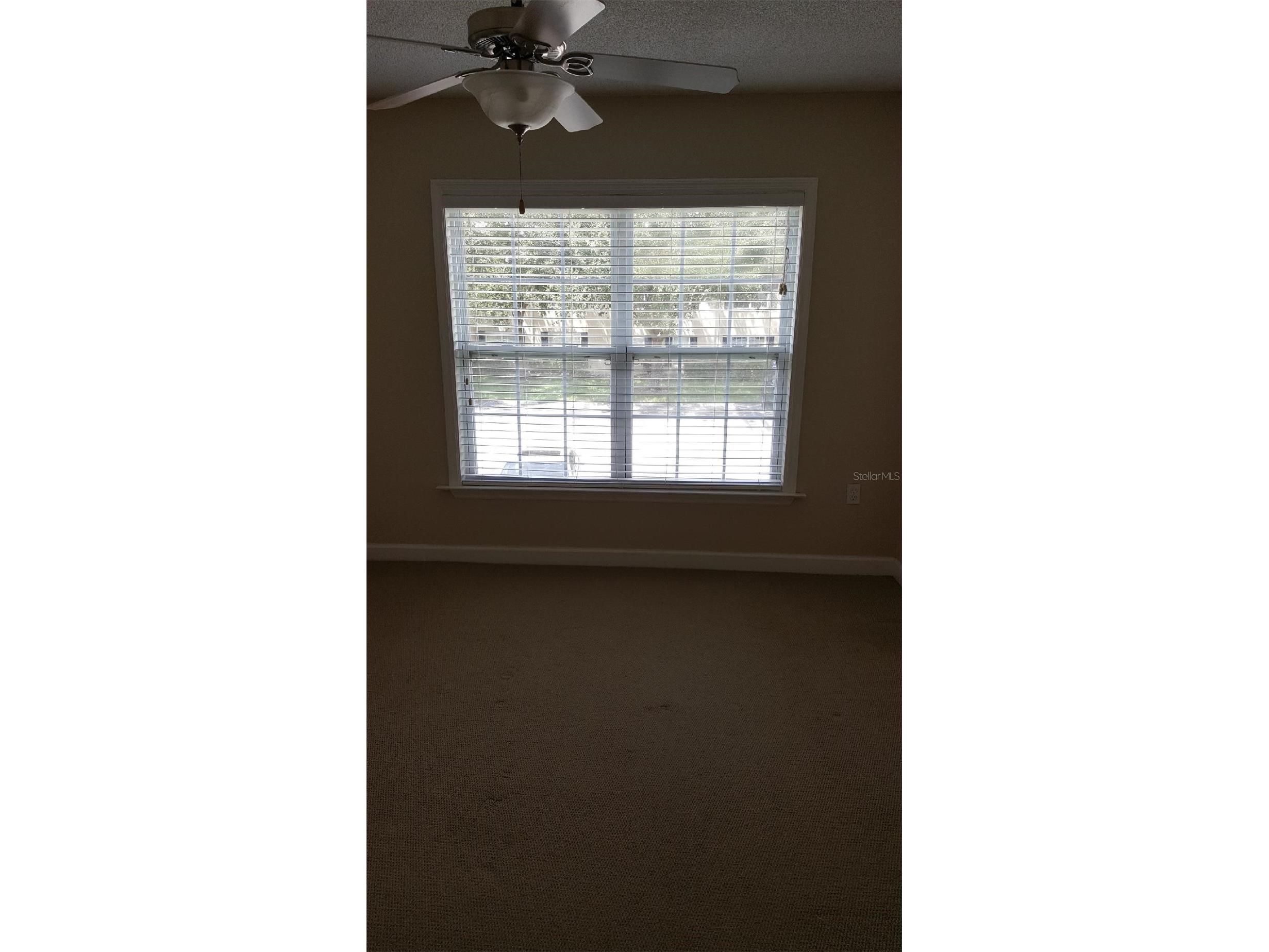 2035 Dixie Belle Drive #2035O Orlando FL 32812 S5153050 image9
