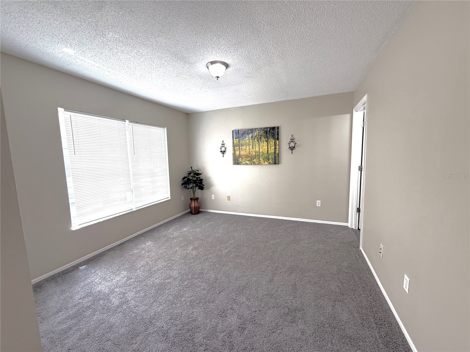 2035 Fluorshire Drive Brandon FL 33511 TB8514610 image20
