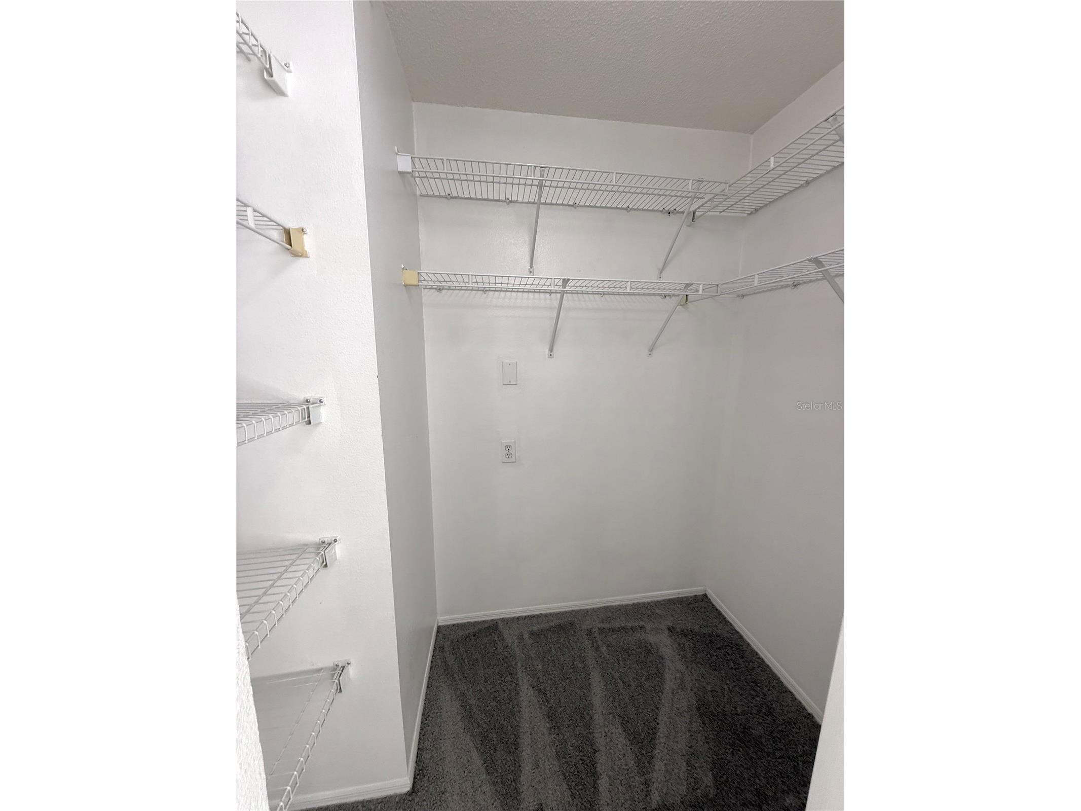 2035 Fluorshire Drive Brandon FL 33511 TB8514610 image22