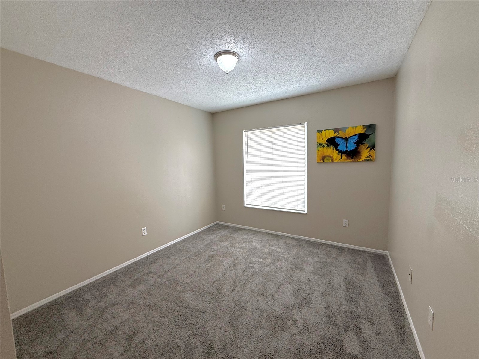 2035 Fluorshire Drive Brandon FL 33511 TB8514610 image23