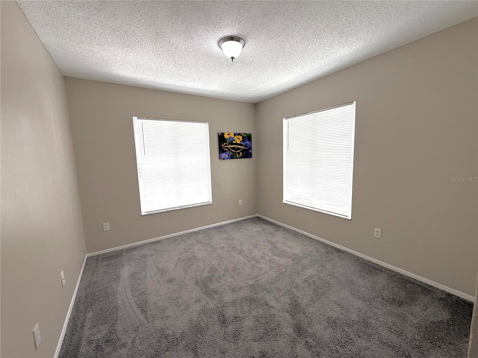 2035 Fluorshire Drive Brandon FL 33511 TB8514610 image25
