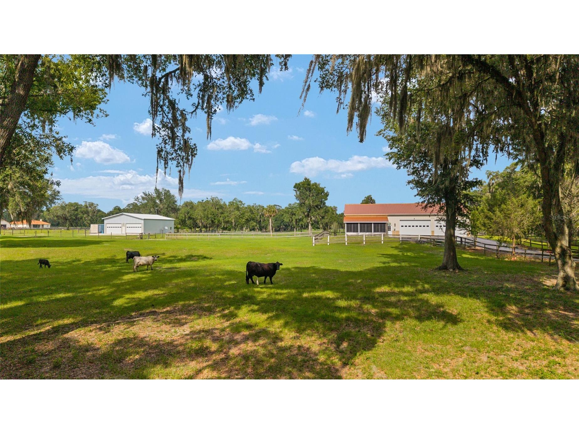 2035 NW 150th Avenue Ocala FL 34482 OM725757 image1
