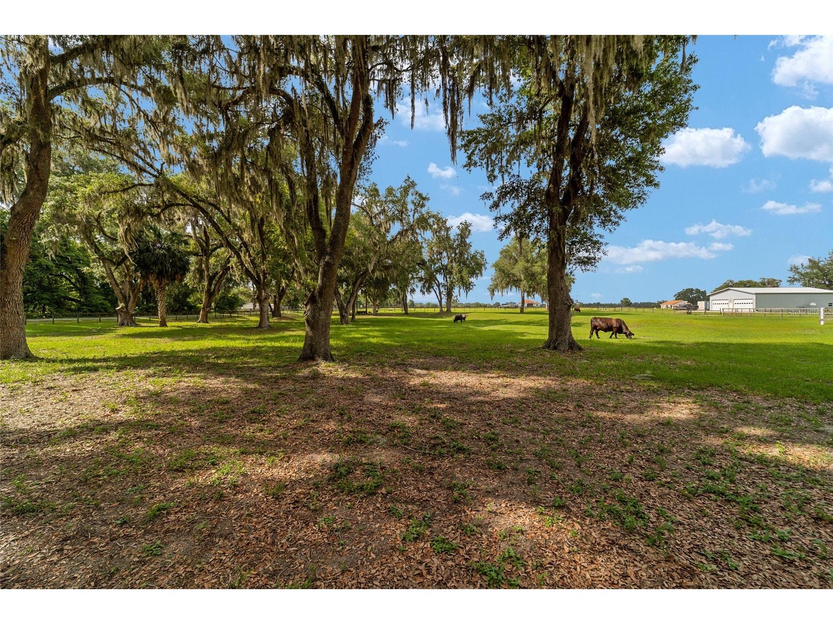 2035 NW 150th Avenue Ocala FL 34482 OM725757 image79