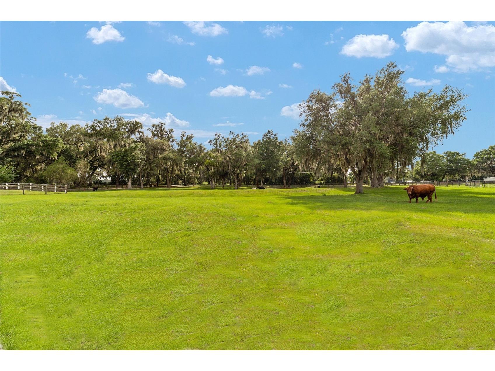 2035 NW 150th Avenue Ocala FL 34482 OM725757 image81