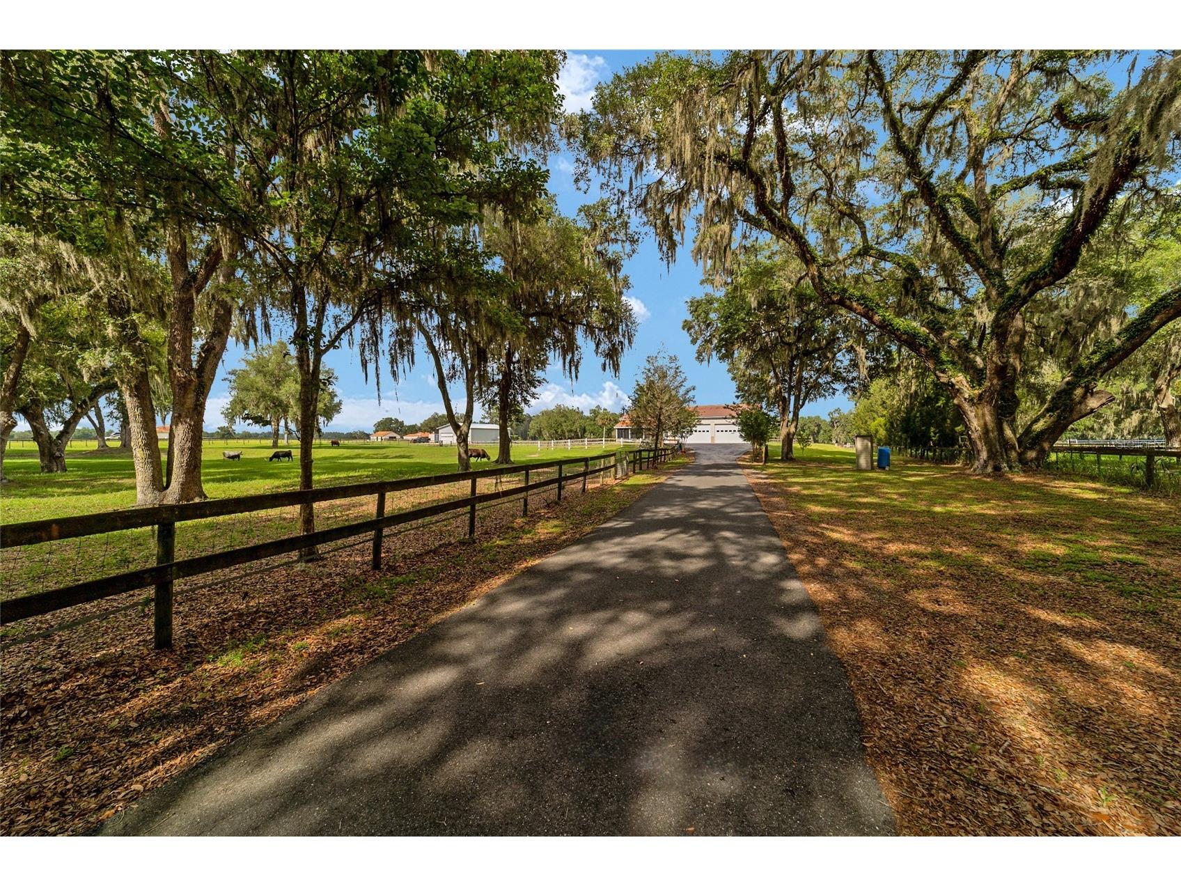 2035 NW 150th Avenue Ocala FL 34482 OM725757 image84
