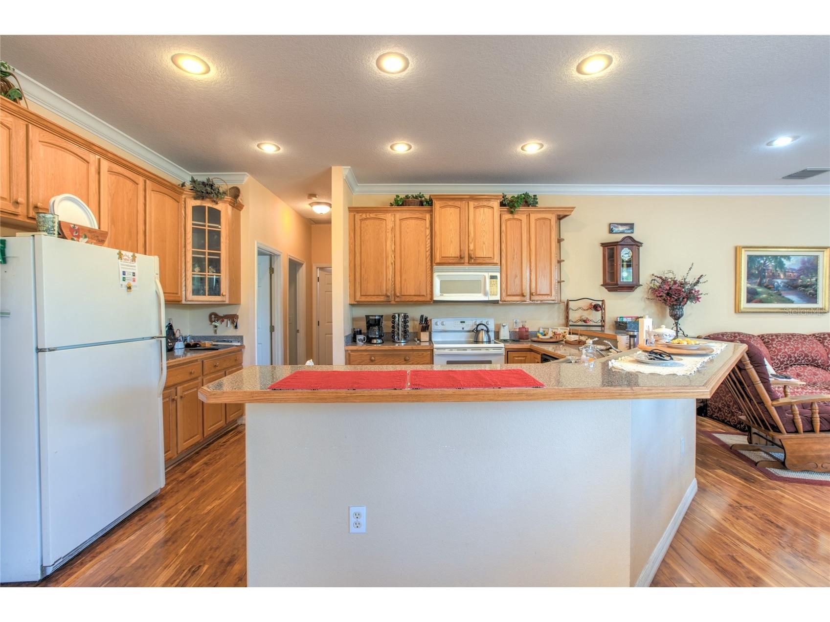 20351 Sabal Street Orlando FL 32833 O6372779 image14