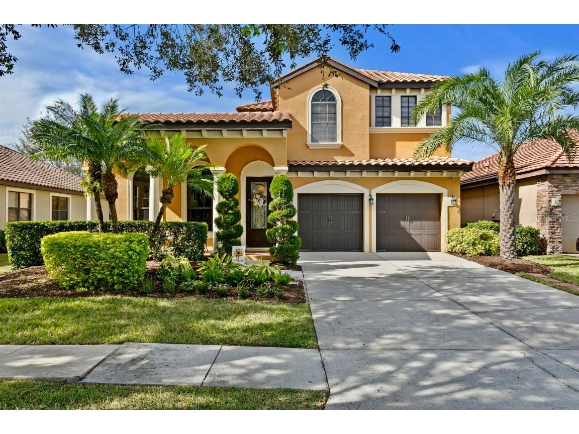 20352 Chestnut Grove Drive Tampa FL 33647 TB8309540 image1