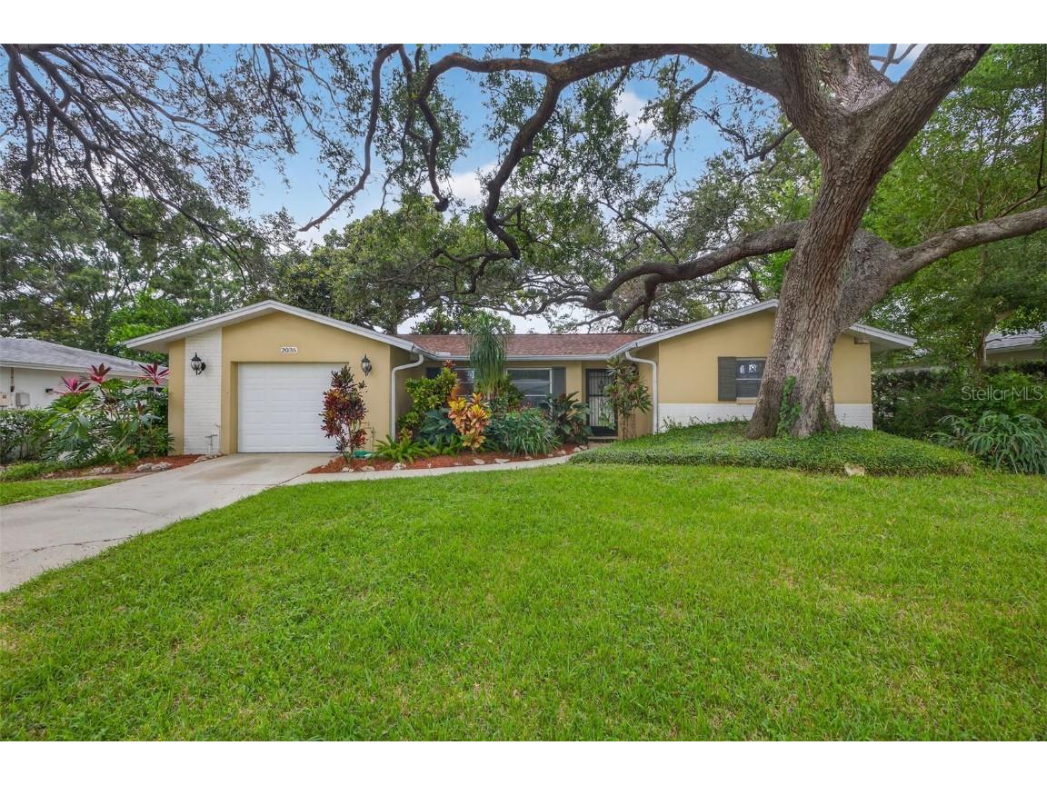 2036 Forest Drive Clearwater FL 33763 TB8431365 image1