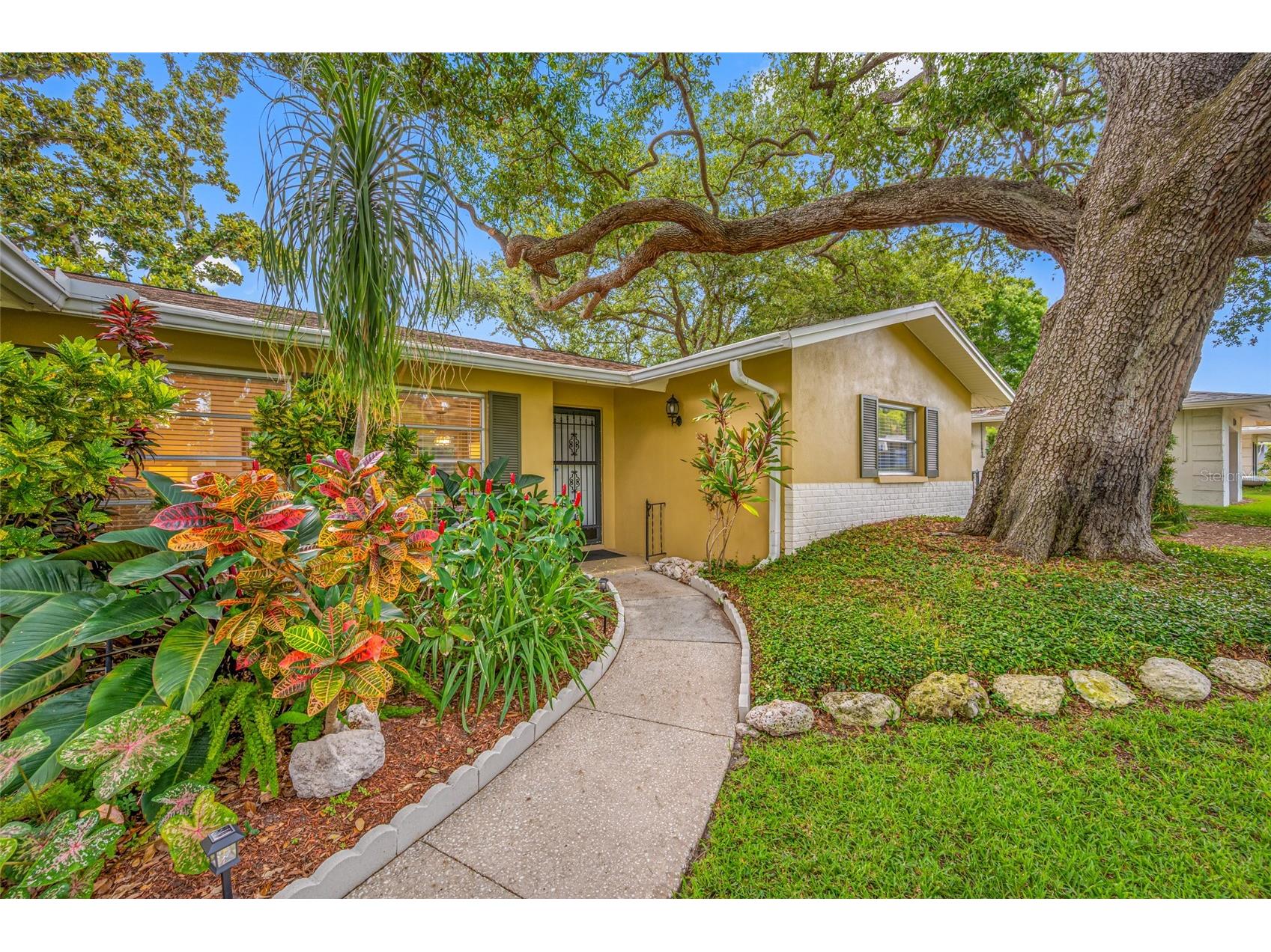 2036 Forest Drive Clearwater FL 33763 TB8526746 image2
