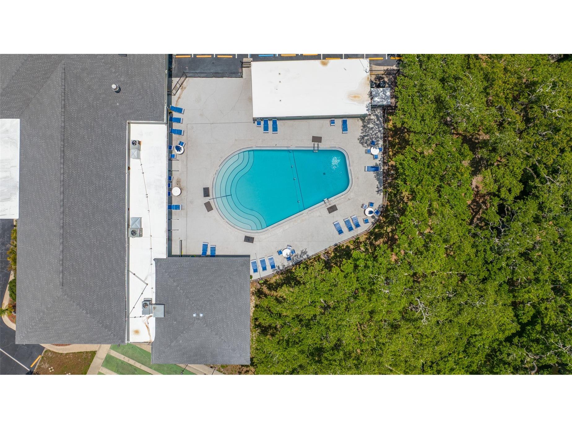 2036 Forest Drive Clearwater FL 33763 TB8526746 image54