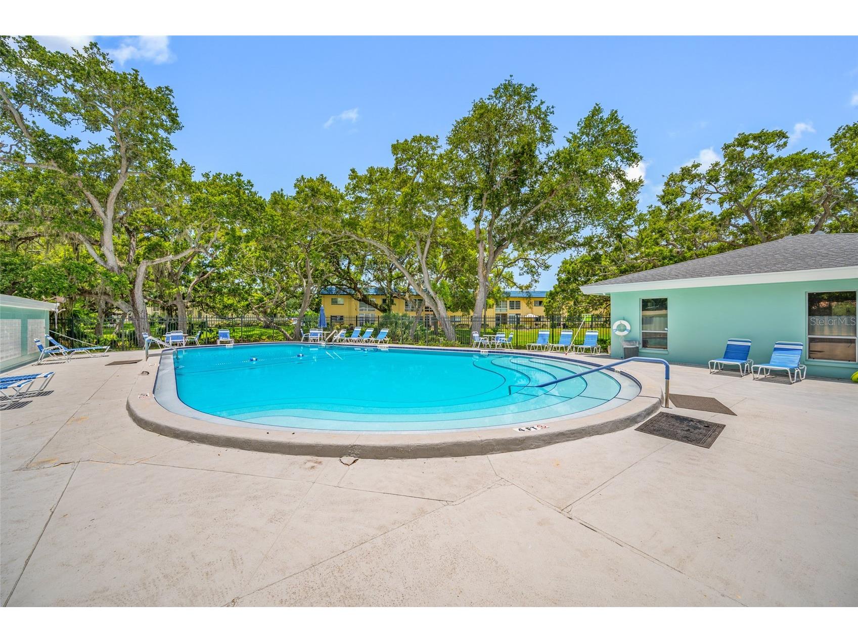 2036 Forest Drive Clearwater FL 33763 TB8526746 image57