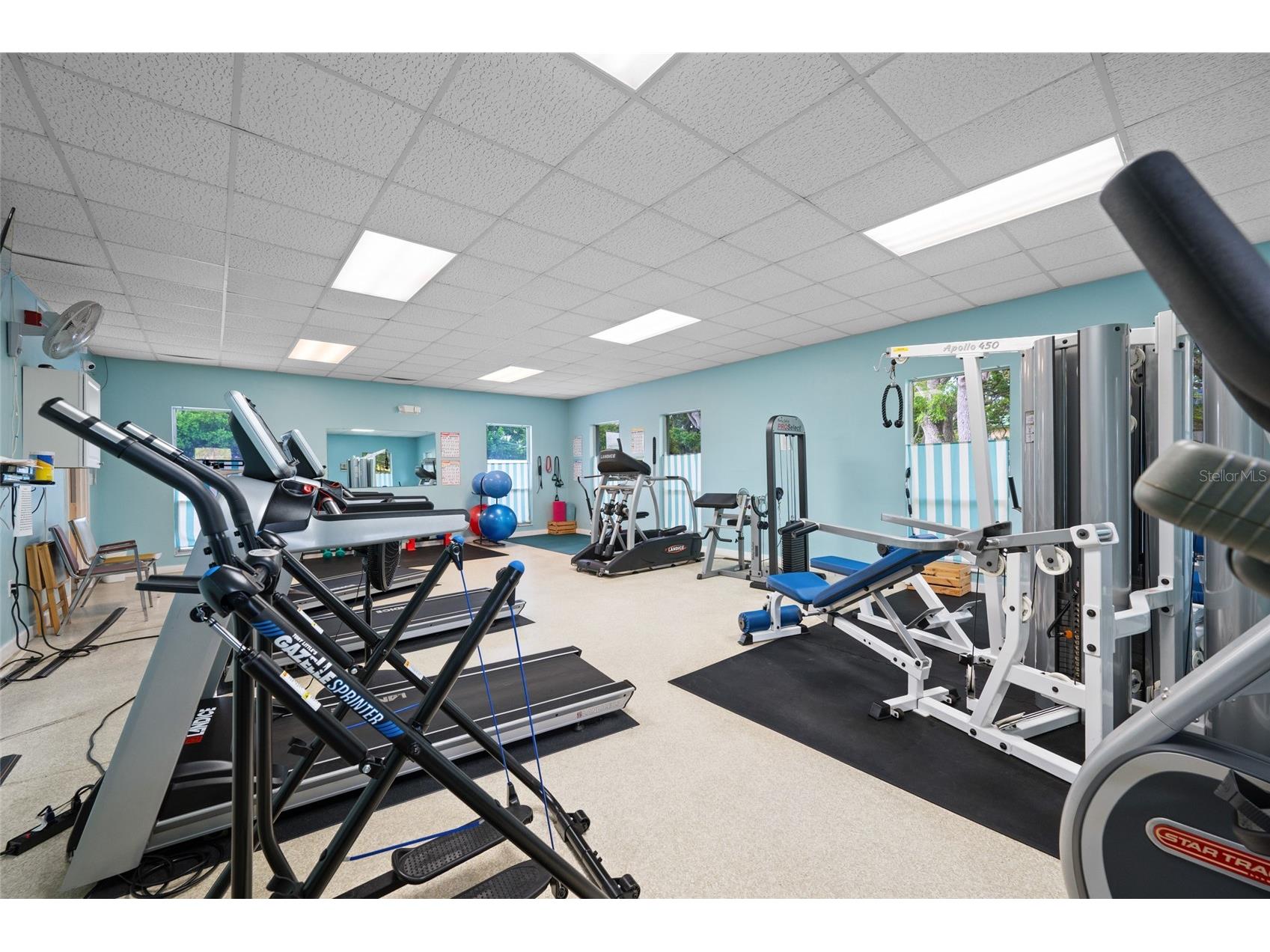 2036 Forest Drive Clearwater FL 33763 TB8526746 image66