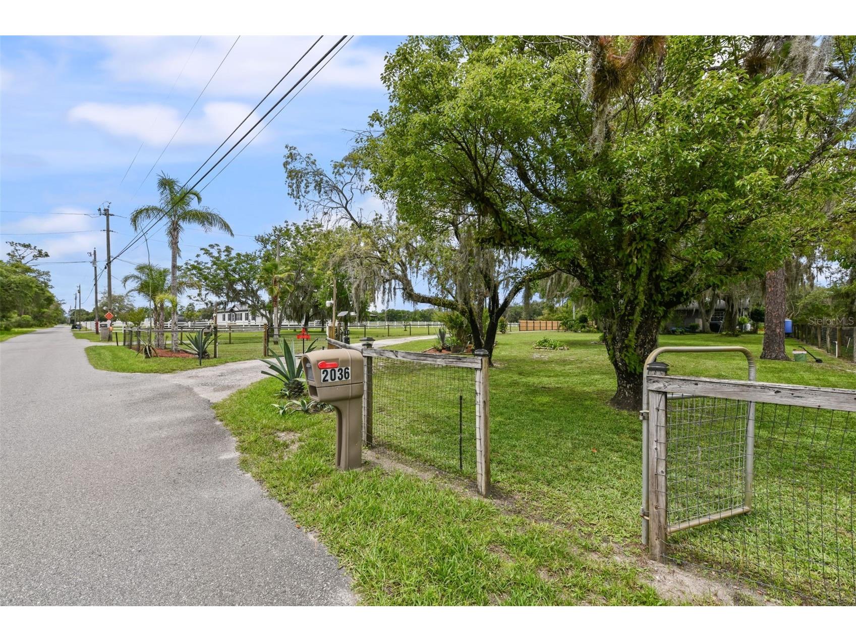 2036 Lake View Avenue Chuluota FL 32766 - LAKE MILLS O6415536 image4
