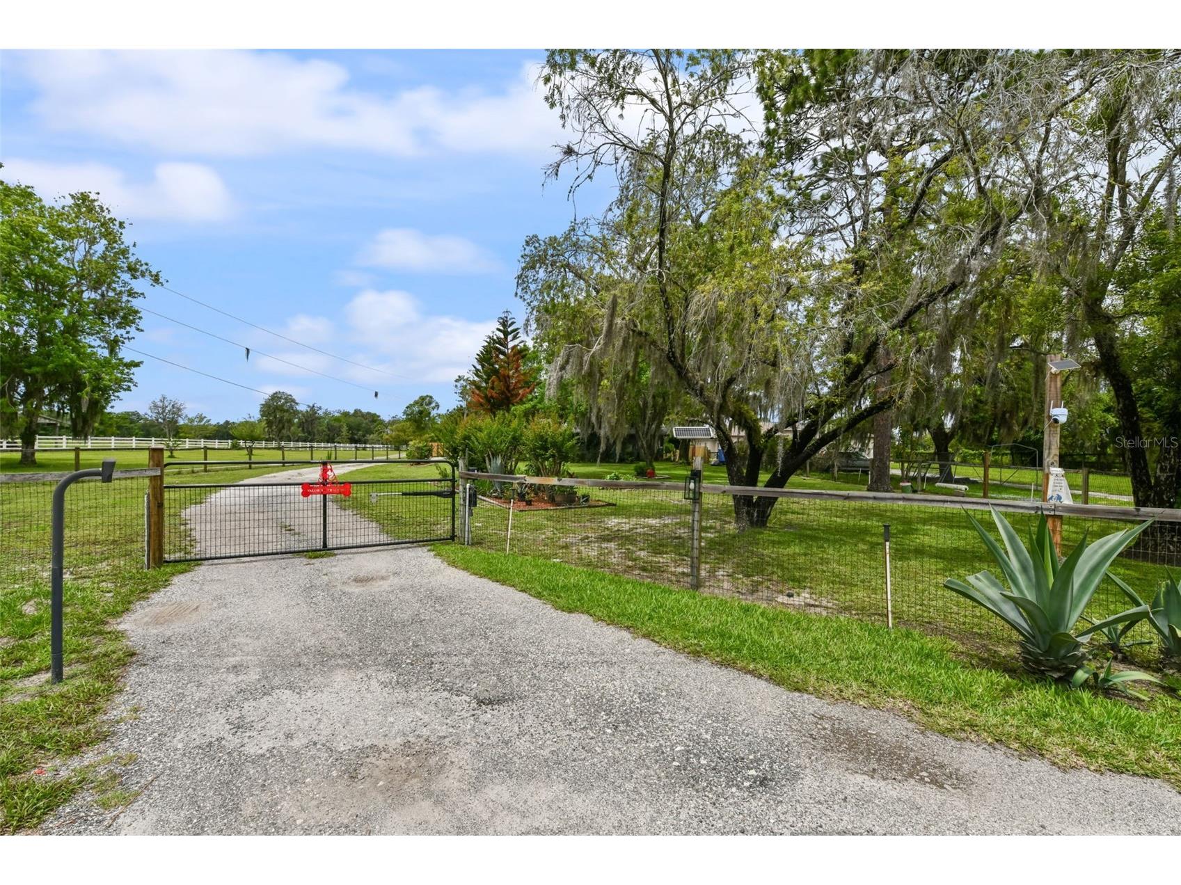 2036 Lake View Avenue Chuluota FL 32766 - LAKE MILLS O6415536 image5