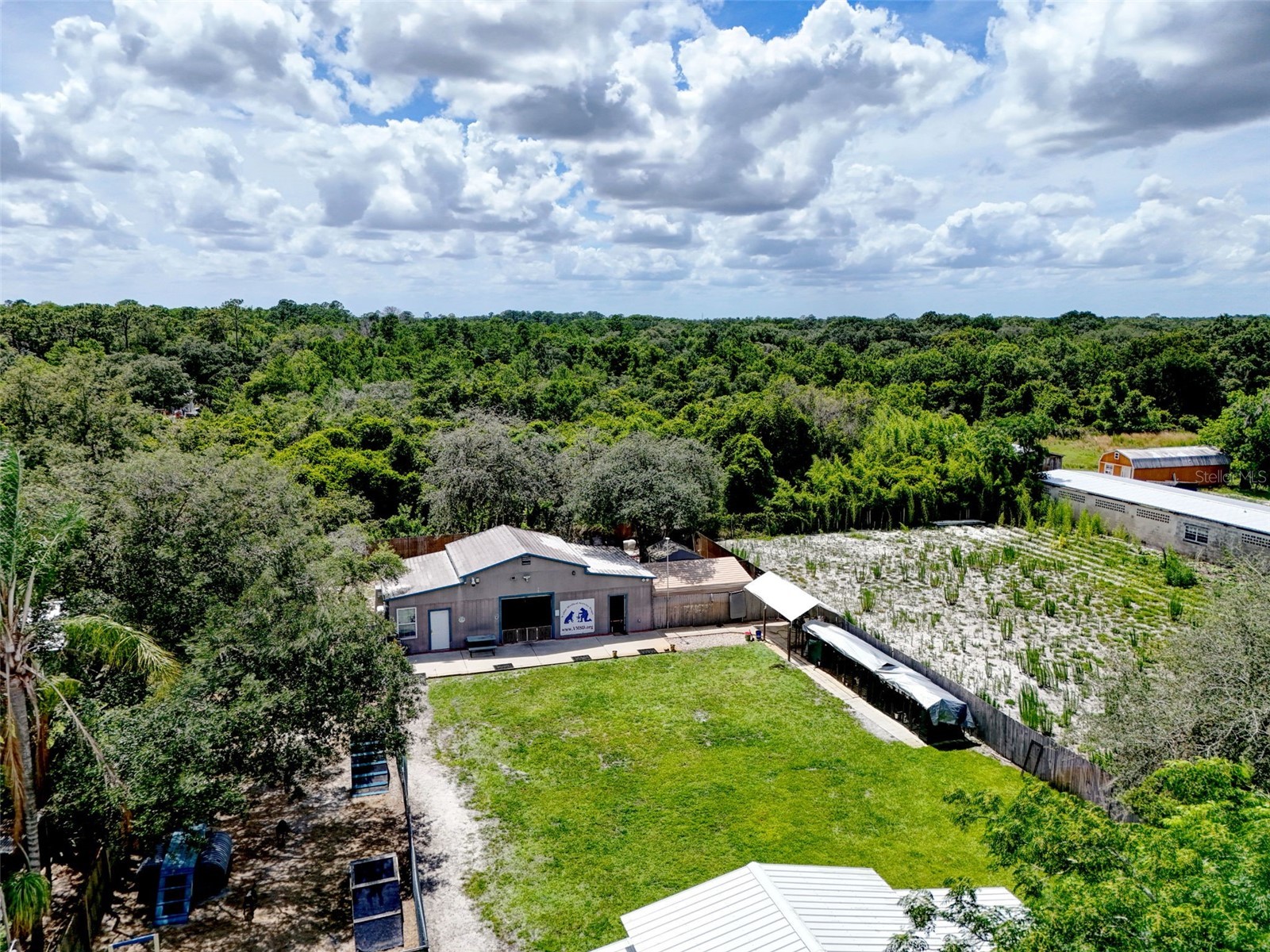 2036 Lake View Avenue Chuluota FL 32766 - LAKE MILLS O6415536 image68
