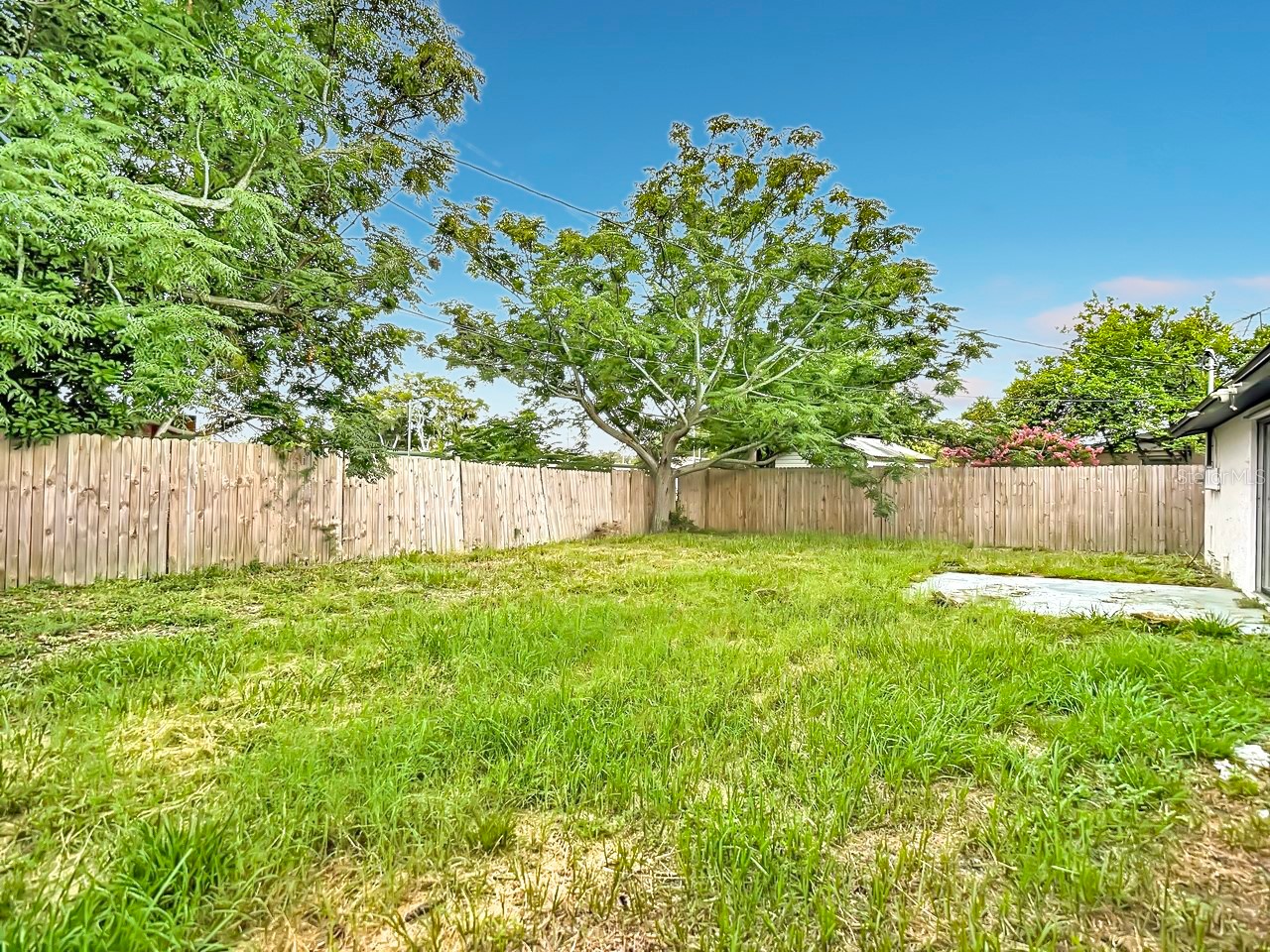 2036 Shannon Drive Holiday FL 34690 TB8524920 image36