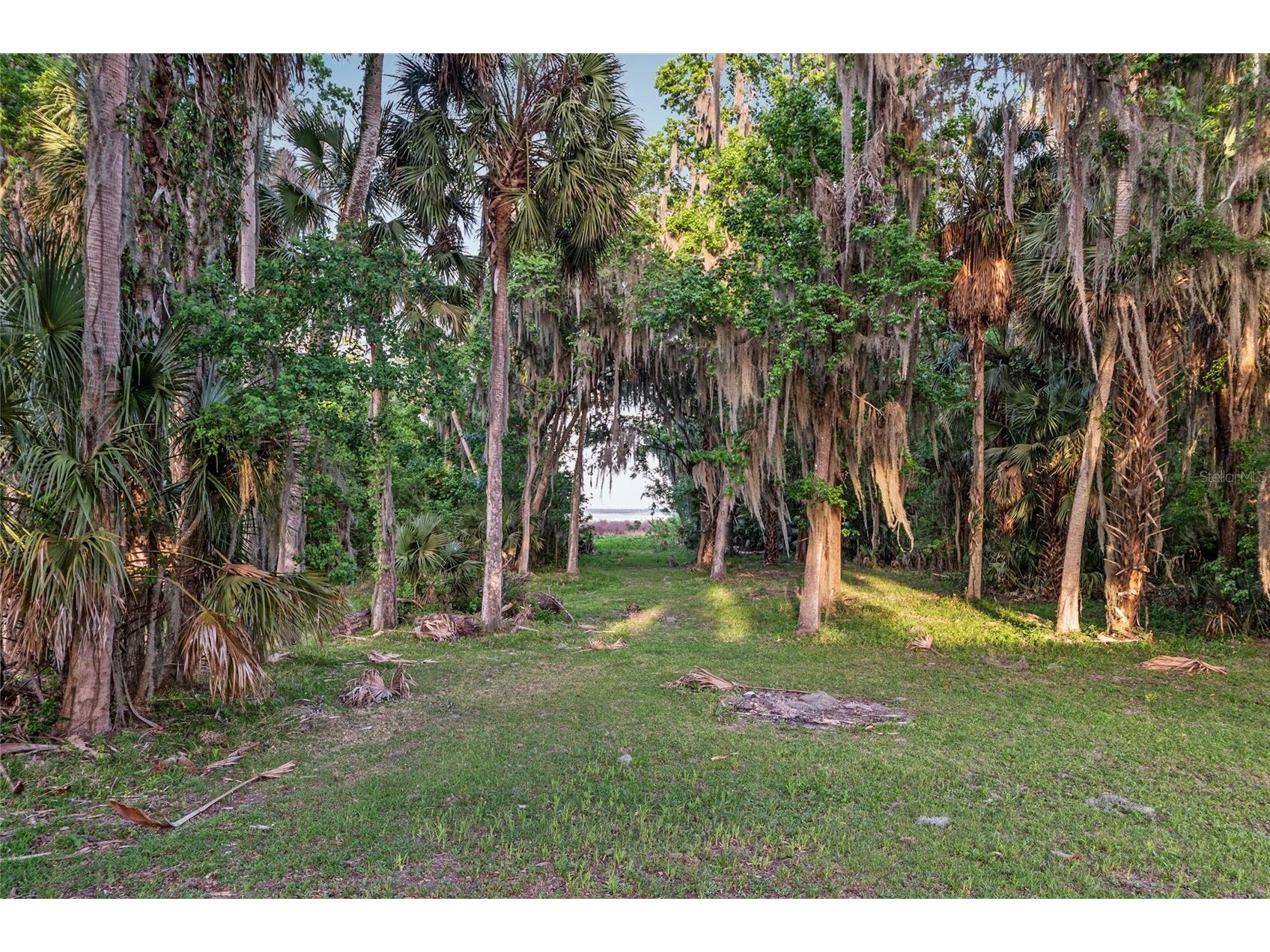 20361 1st Street Mc Intosh FL 32664 GC539492 image57