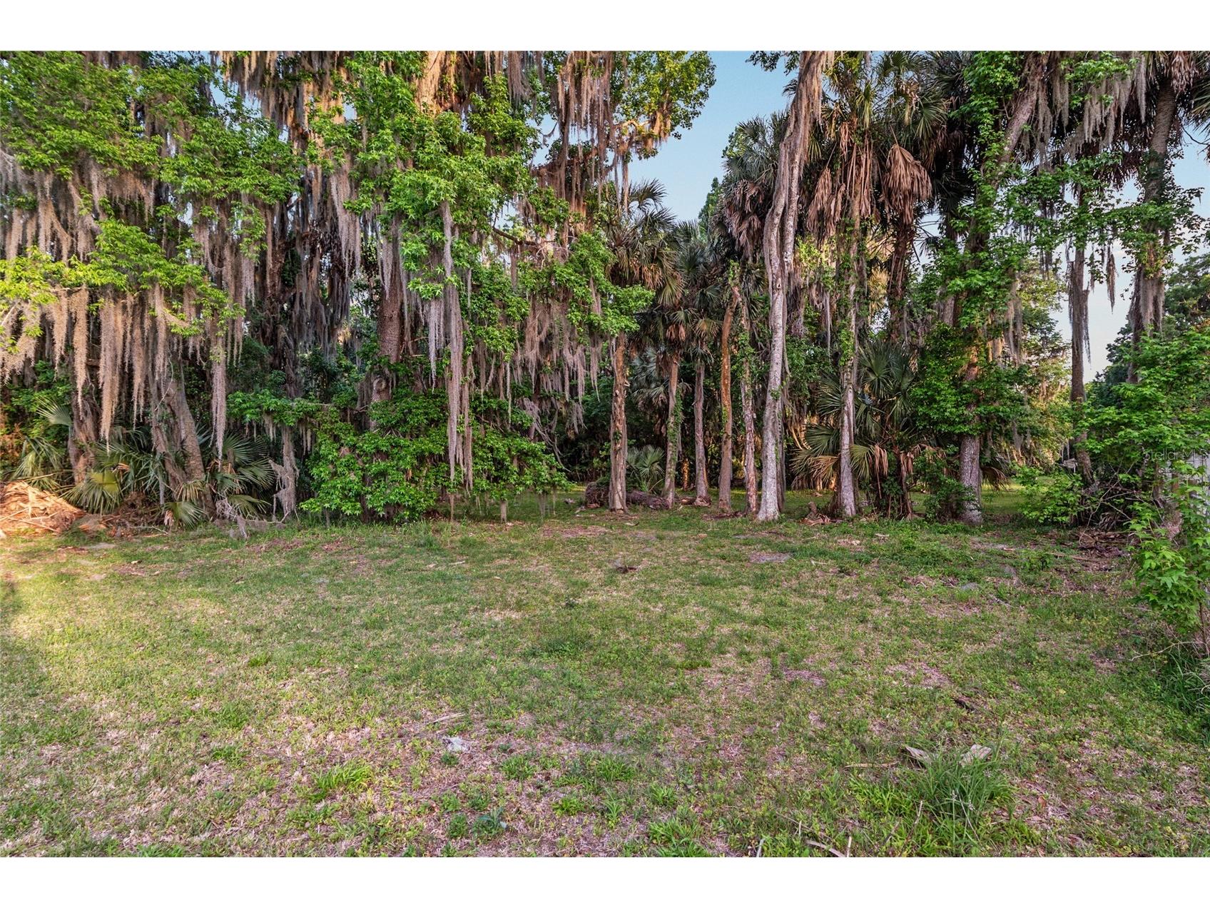 20361 1st Street Mc Intosh FL 32664 GC539492 image59