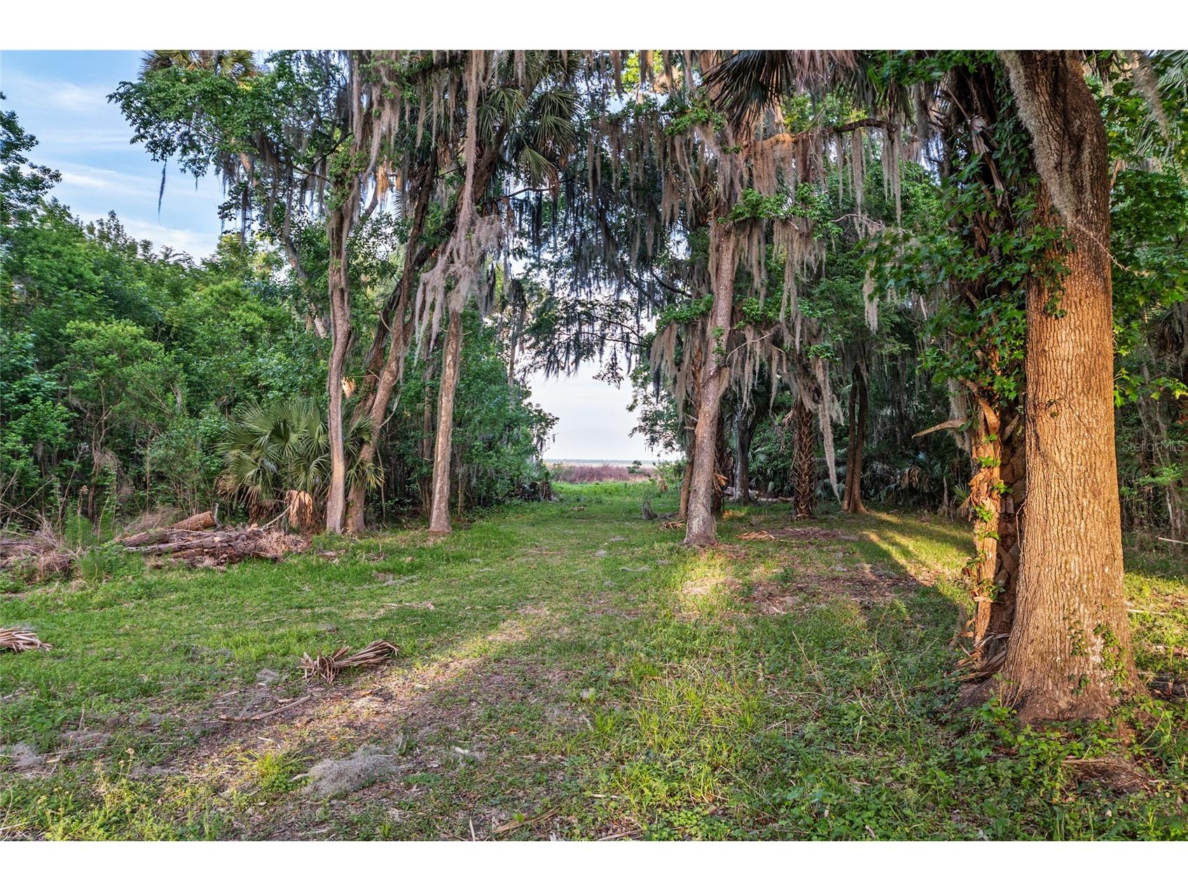20361 1st Street Mc Intosh FL 32664 GC539492 image60