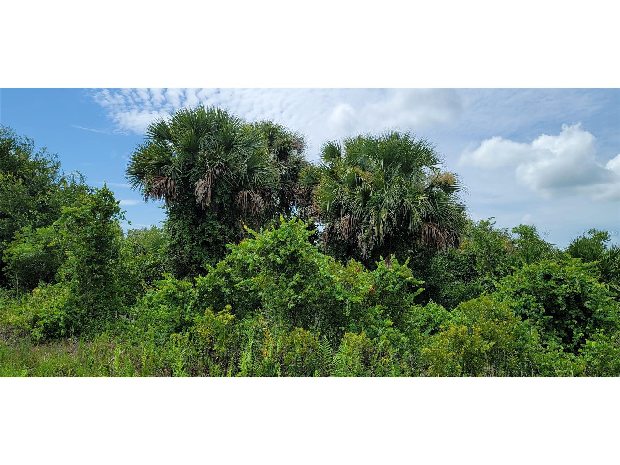 20366 NW 270th Street Okeechobee FL 34972 O6422363 image10