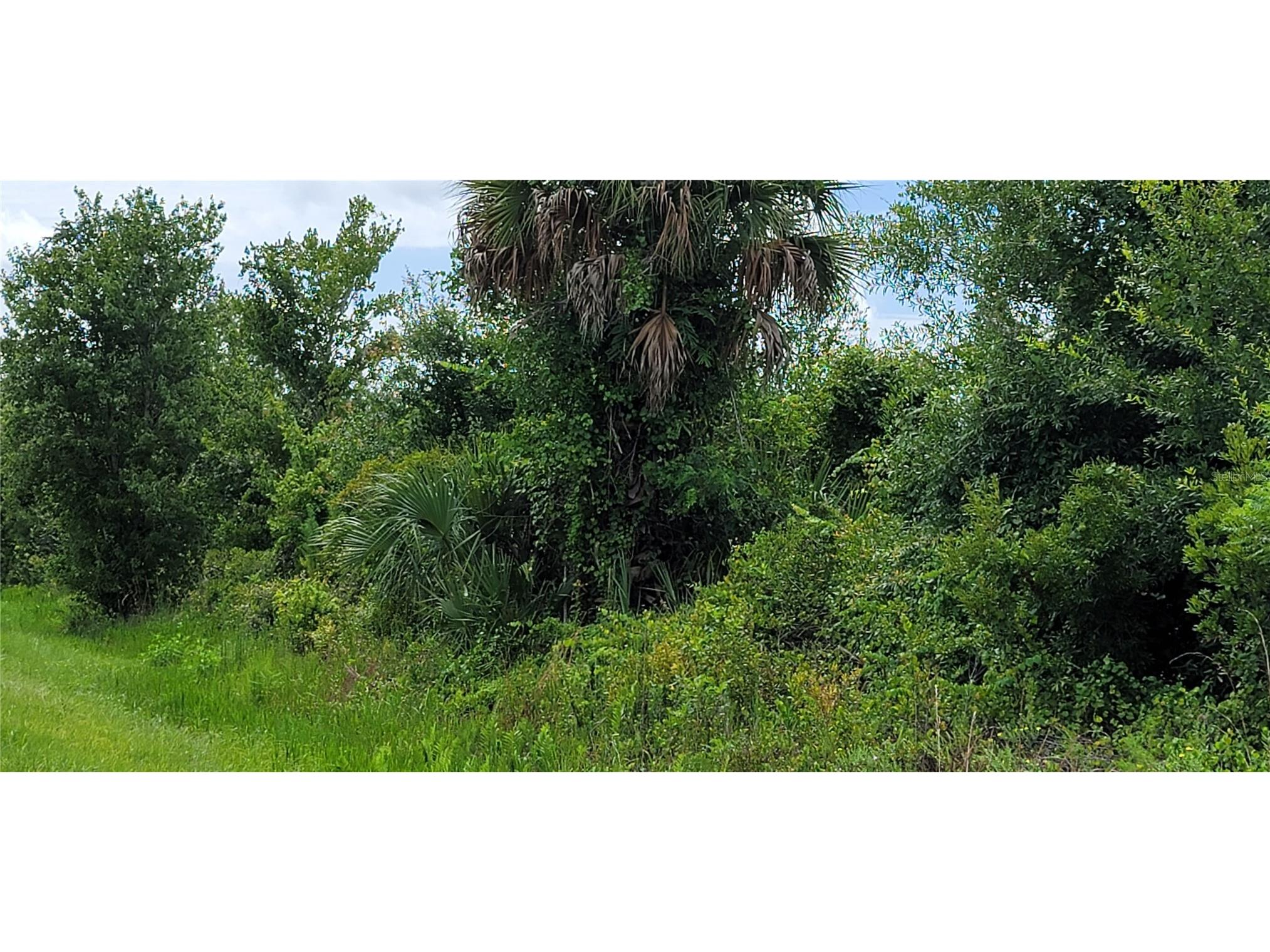 20366 NW 270th Street Okeechobee FL 34972 O6422363 image12