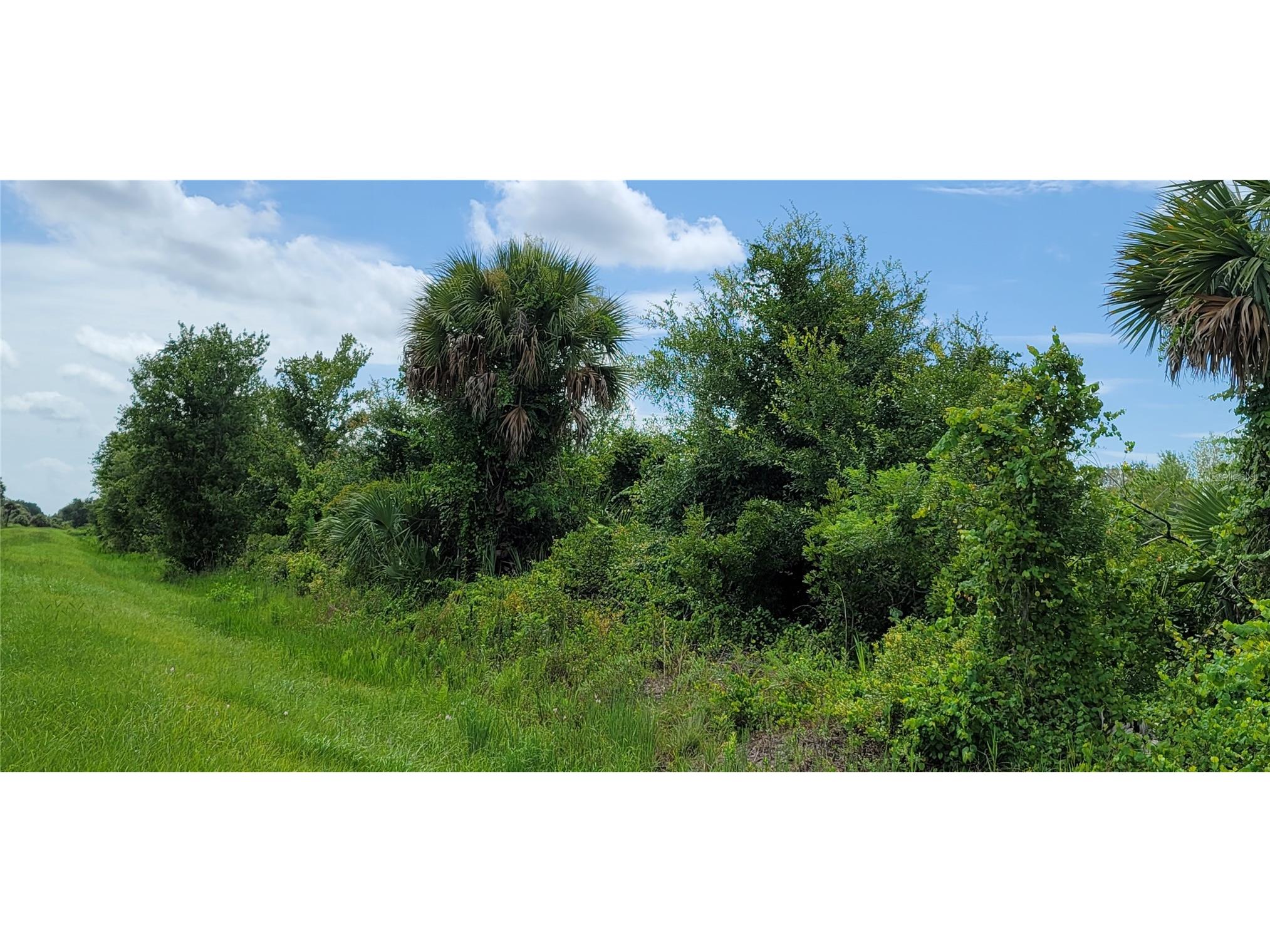 20366 NW 270th Street Okeechobee FL 34972 O6422363 image13