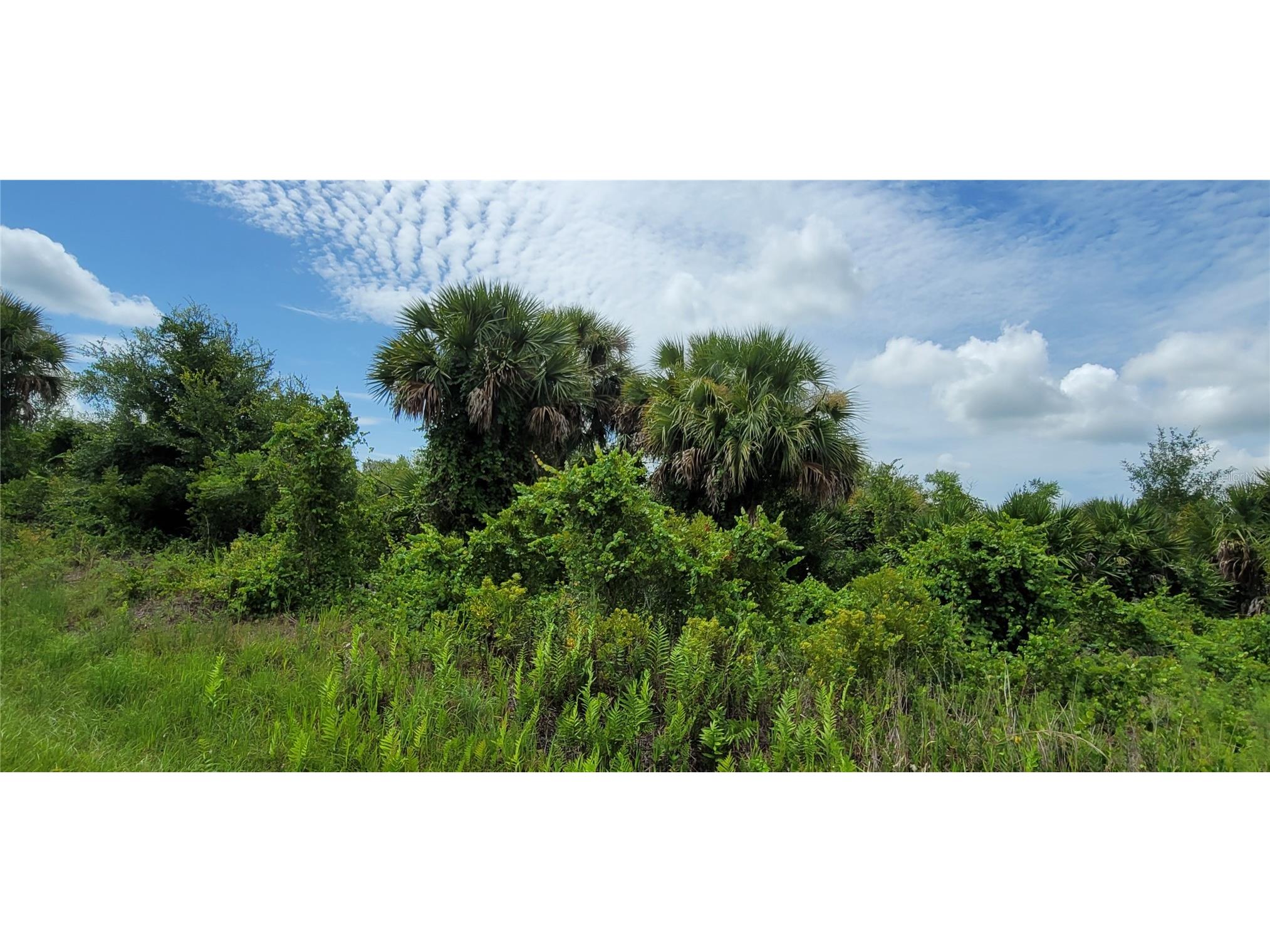 20366 NW 270th Street Okeechobee FL 34972 O6422363 image14
