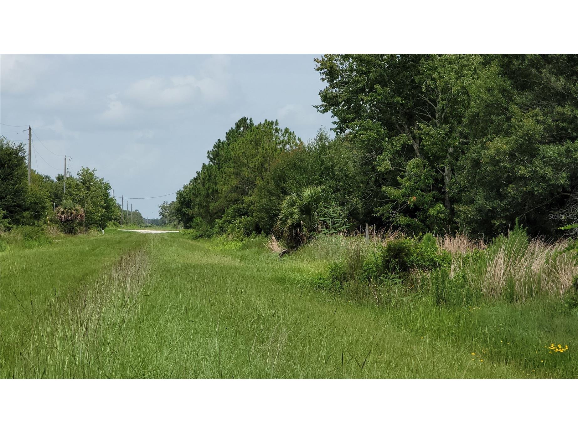 20366 NW 270th Street Okeechobee FL 34972 O6422363 image16