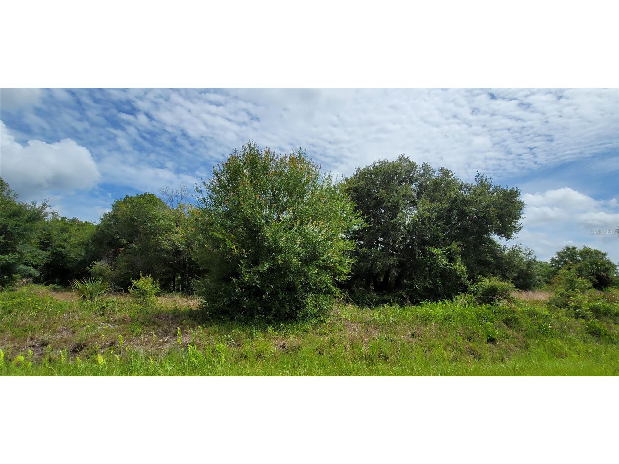 20366 NW 270th Street Okeechobee FL 34972 O6422363 image18